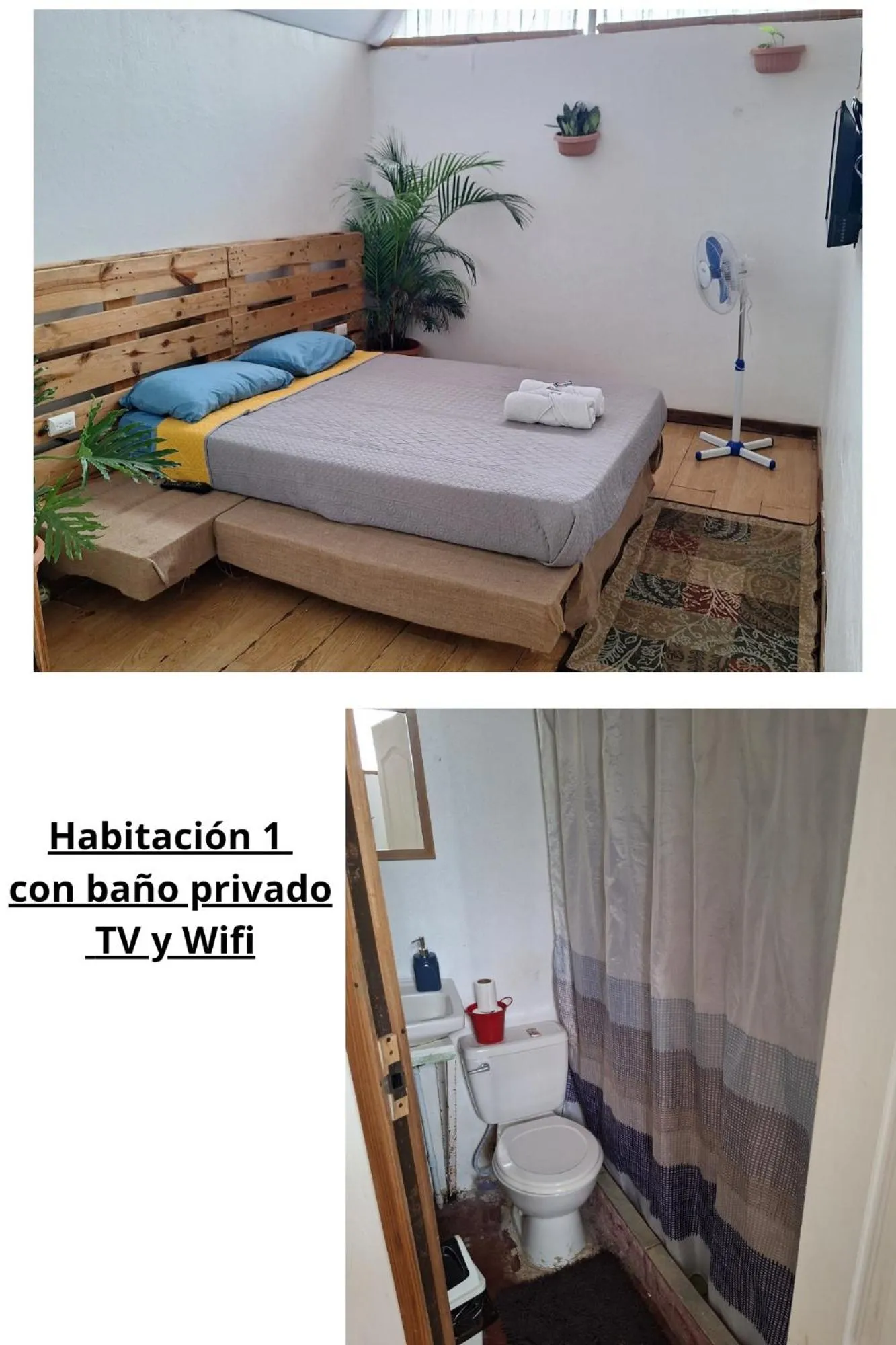 Bathroom, Bed in Hotel Cortez Azul