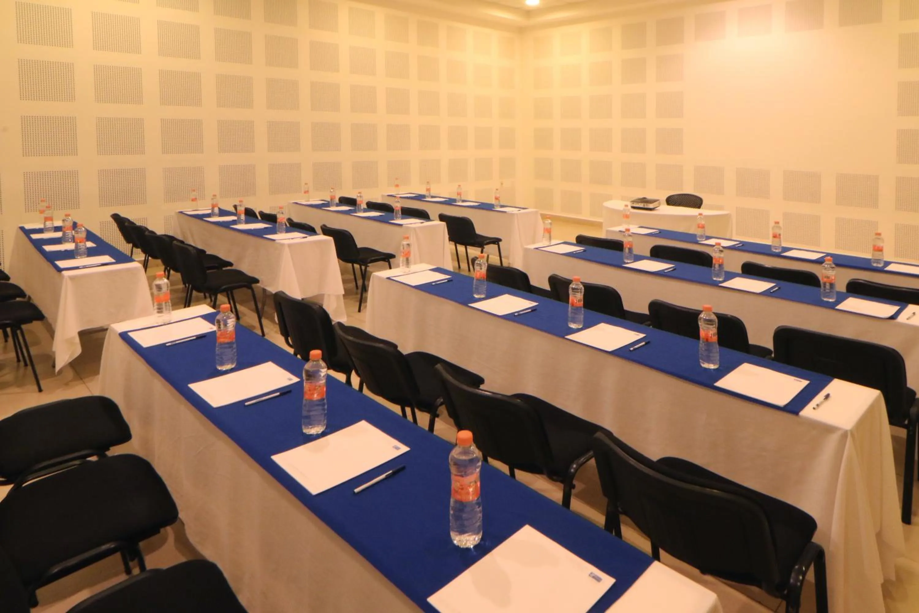 Meeting/conference room in Holiday Inn Express Manzanillo by IHG