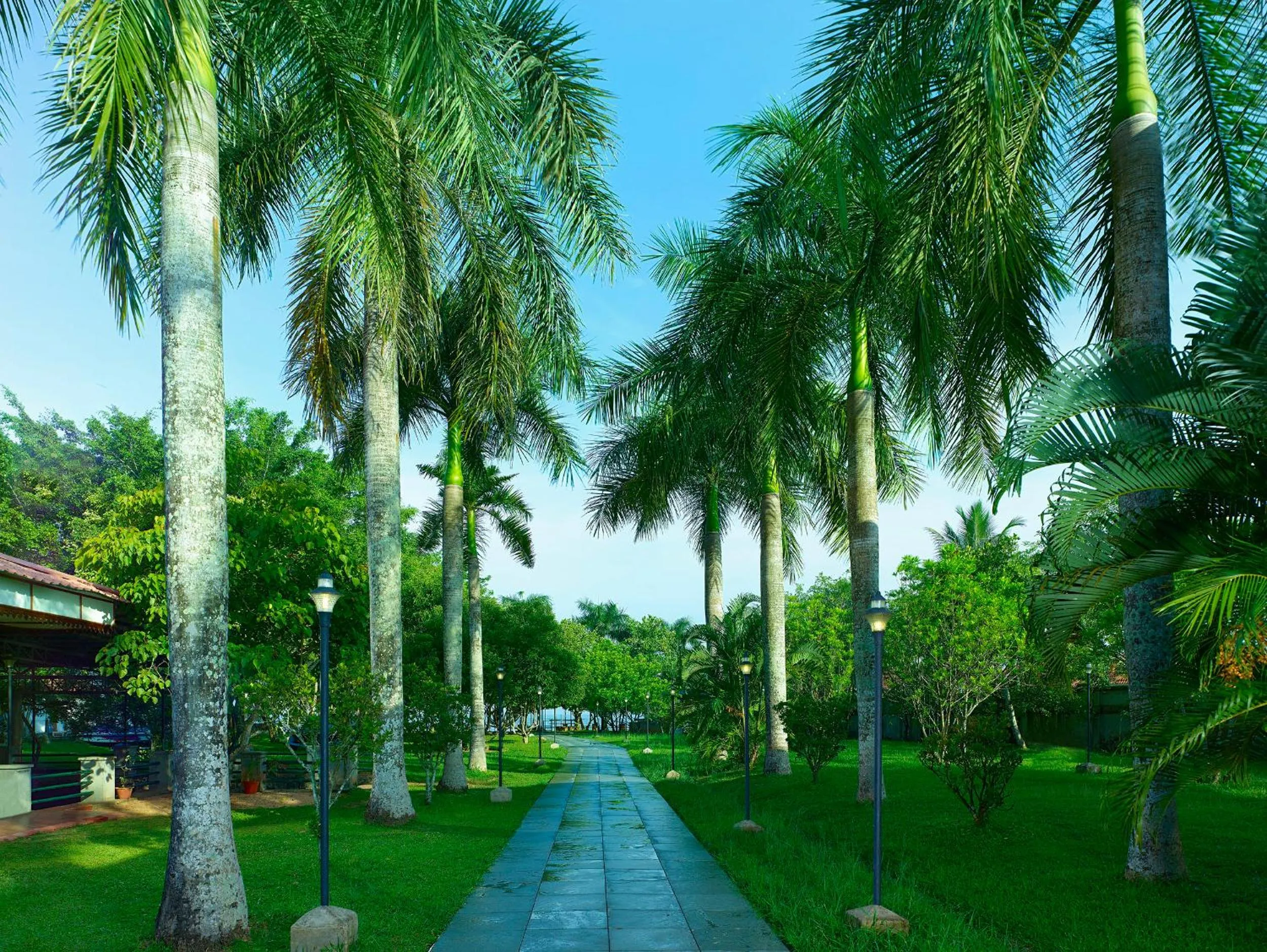 Day in Backwater Ripples Kumarakom