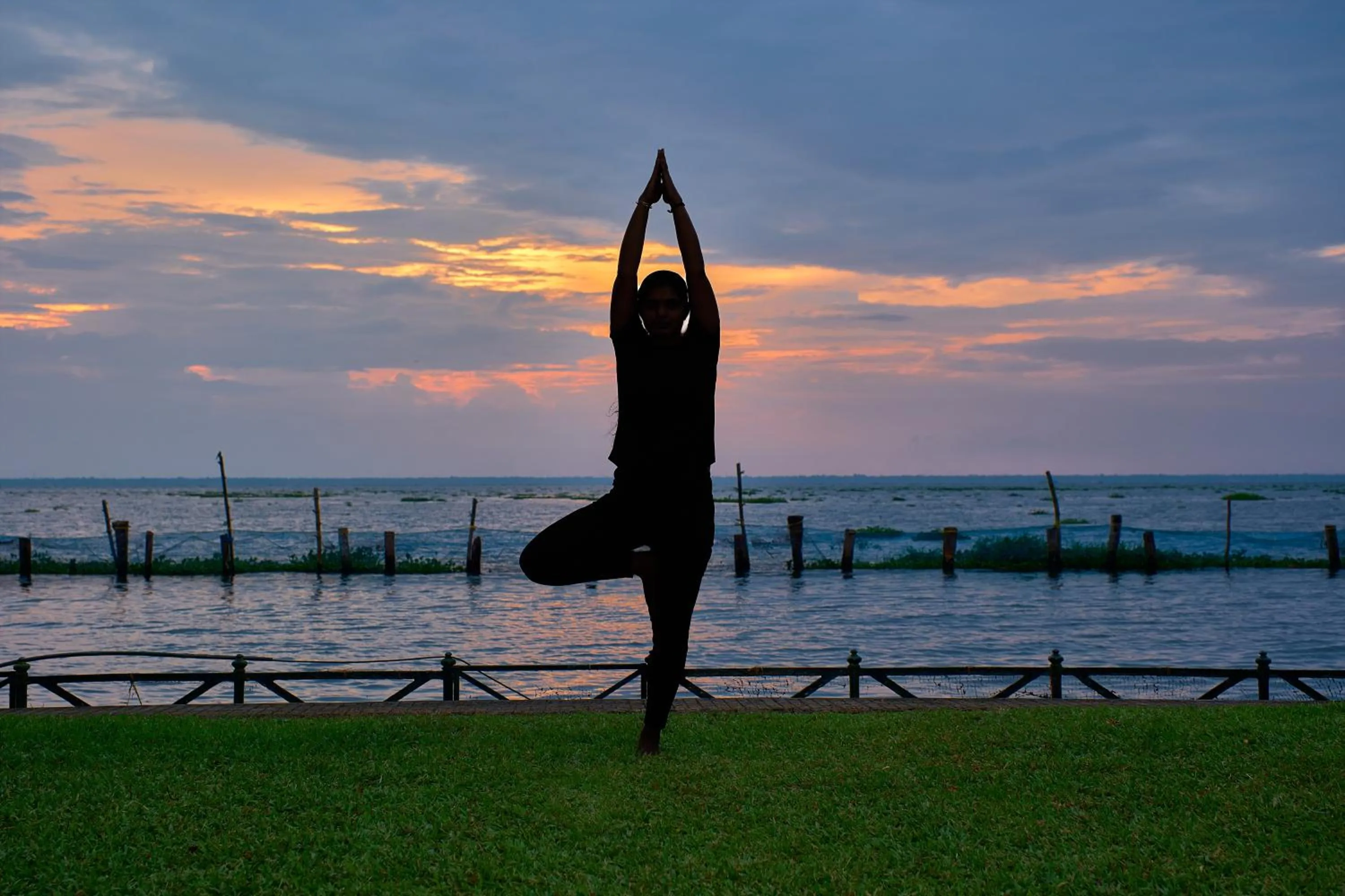 Activities in Backwater Ripples Kumarakom