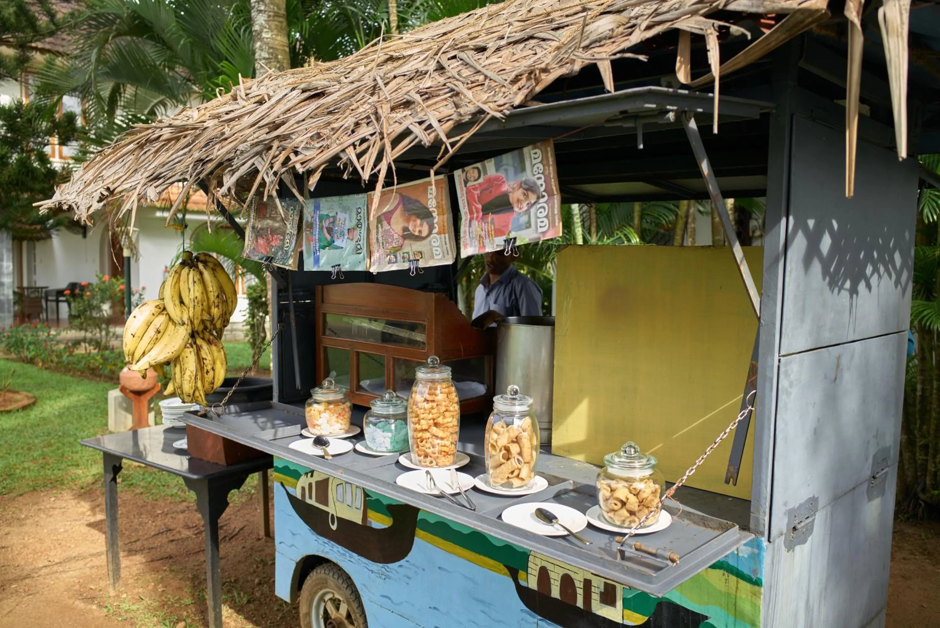 Diving in Backwater Ripples Kumarakom