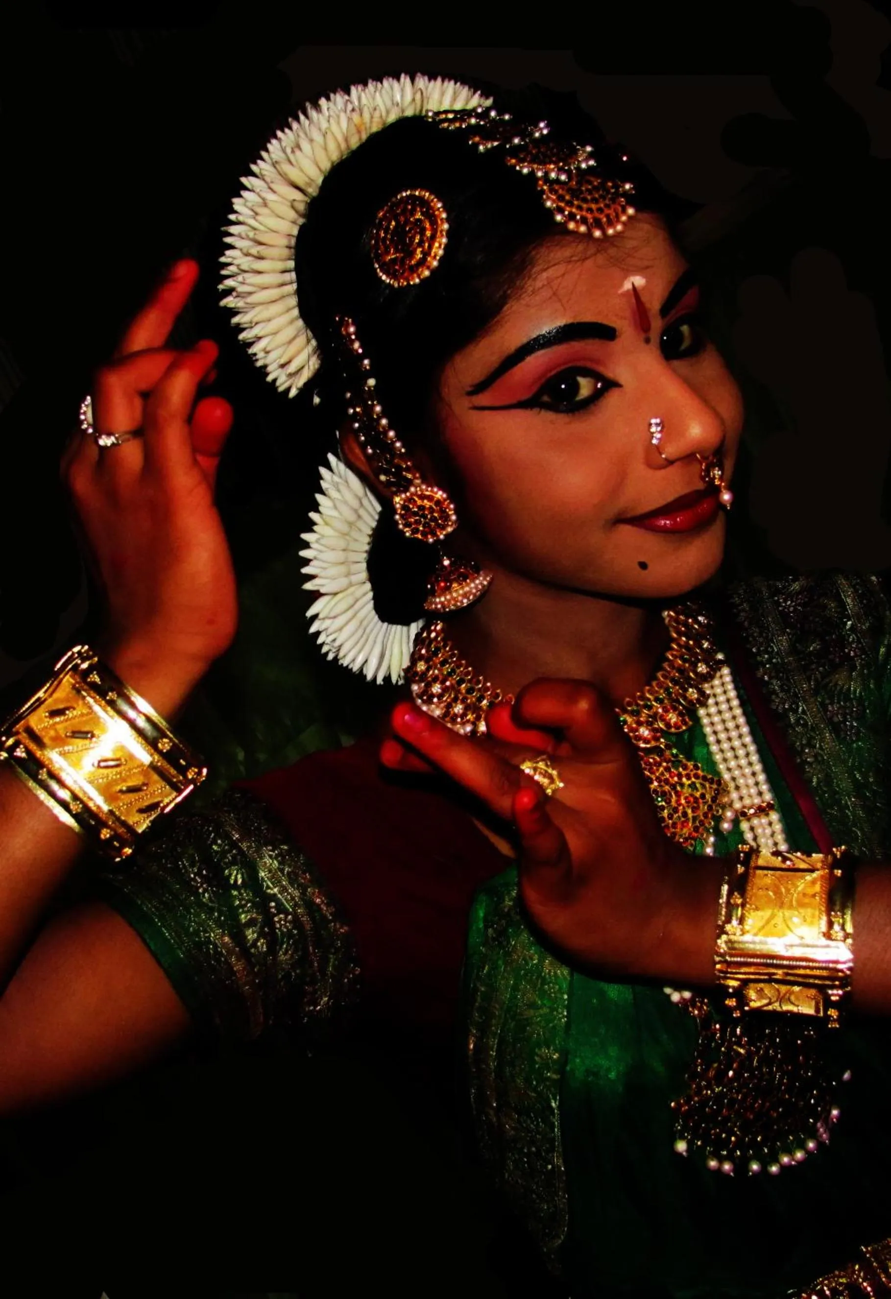 Other in Greenwoods Resort, Thekkady