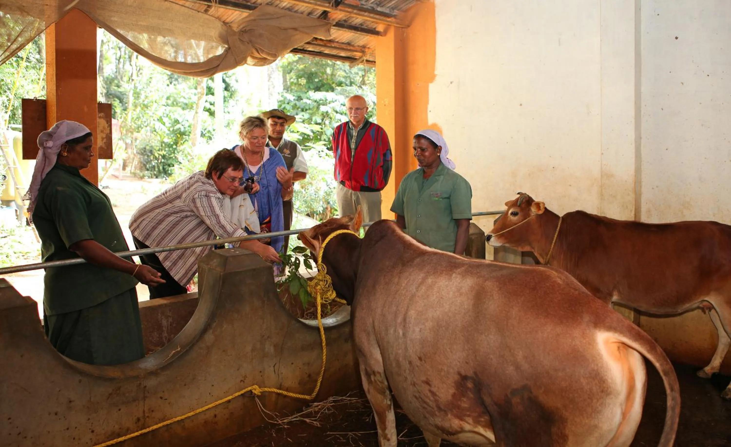Other in Greenwoods Resort, Thekkady