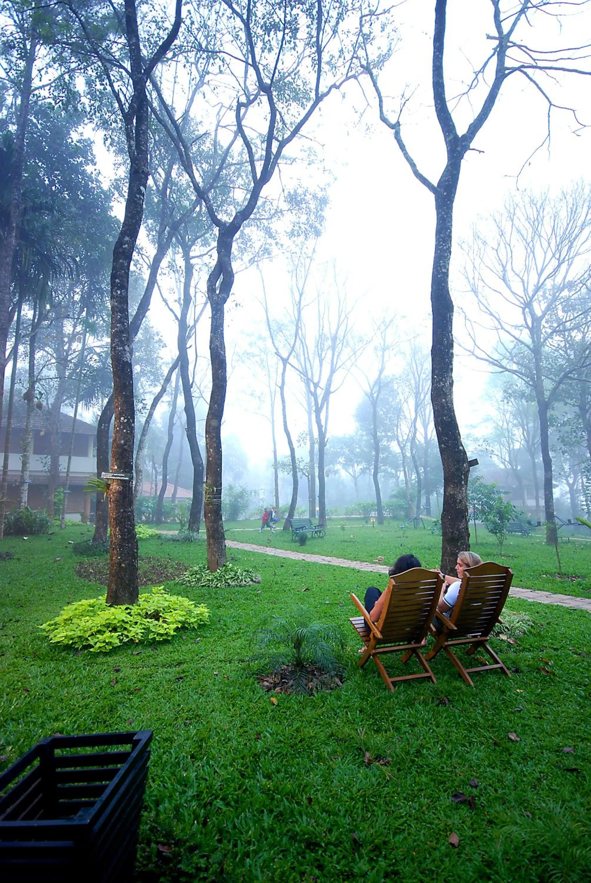 Area and facilities in Greenwoods Resort, Thekkady