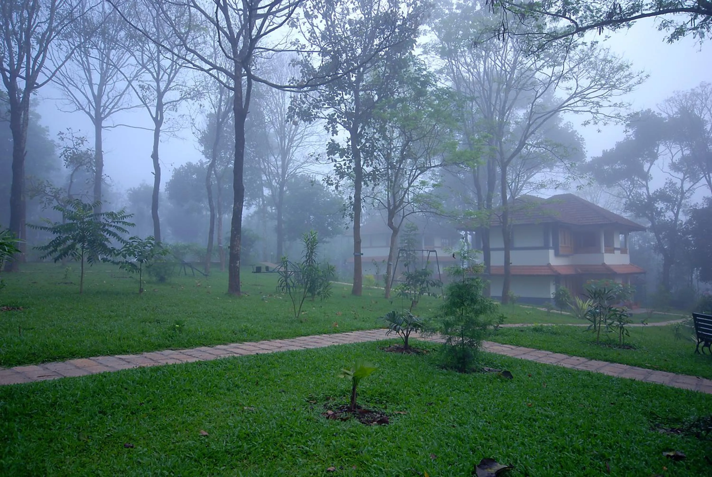 Area and facilities in Greenwoods Resort, Thekkady