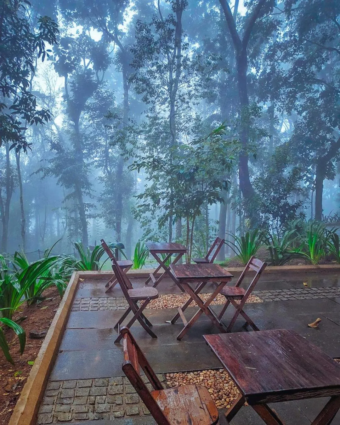 View (from property/room) in Greenwoods Resort, Thekkady