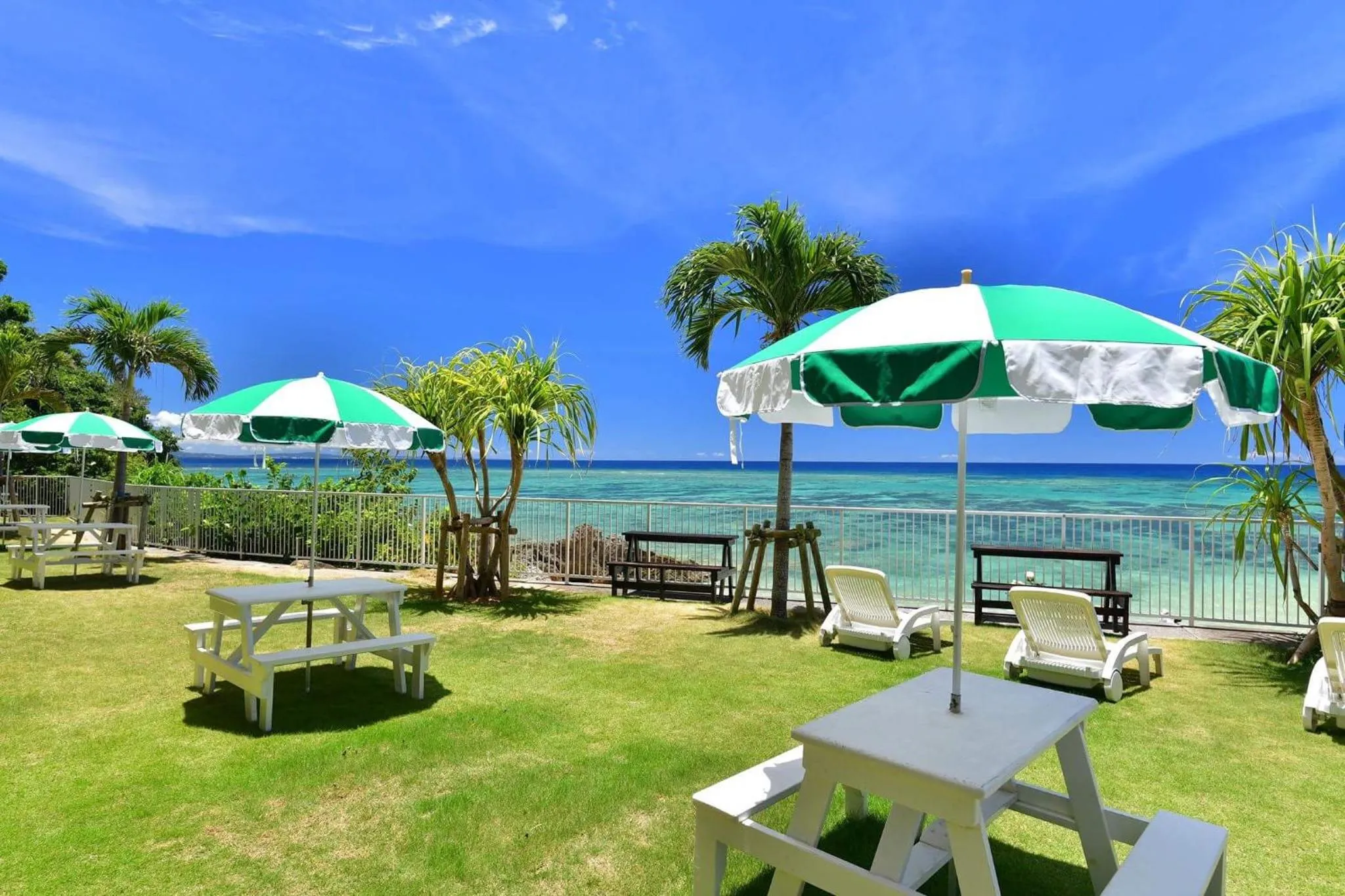 Garden in Churaumi on the Beach Motobu