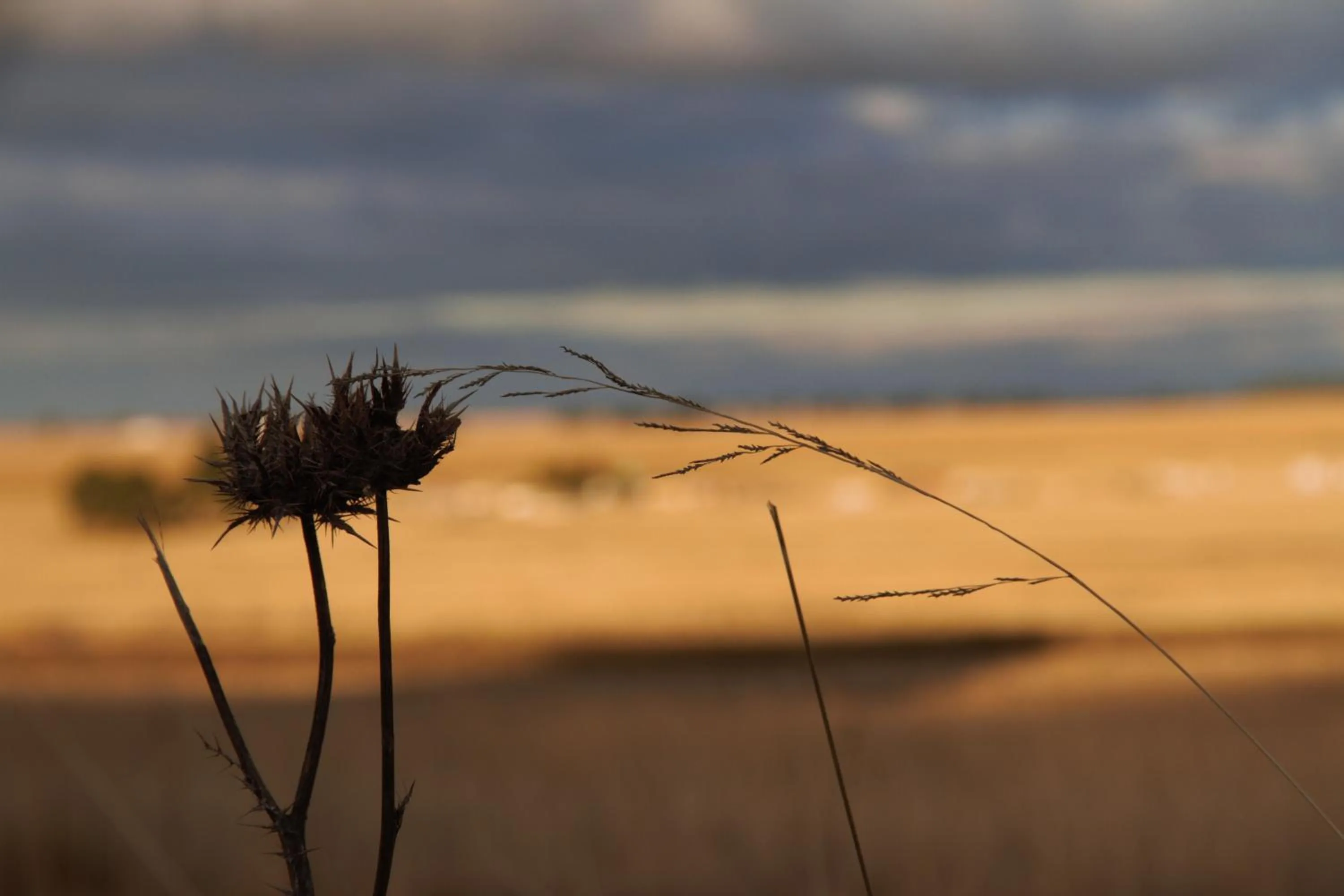 Property building in Grasslands Conference and Wedding Venue