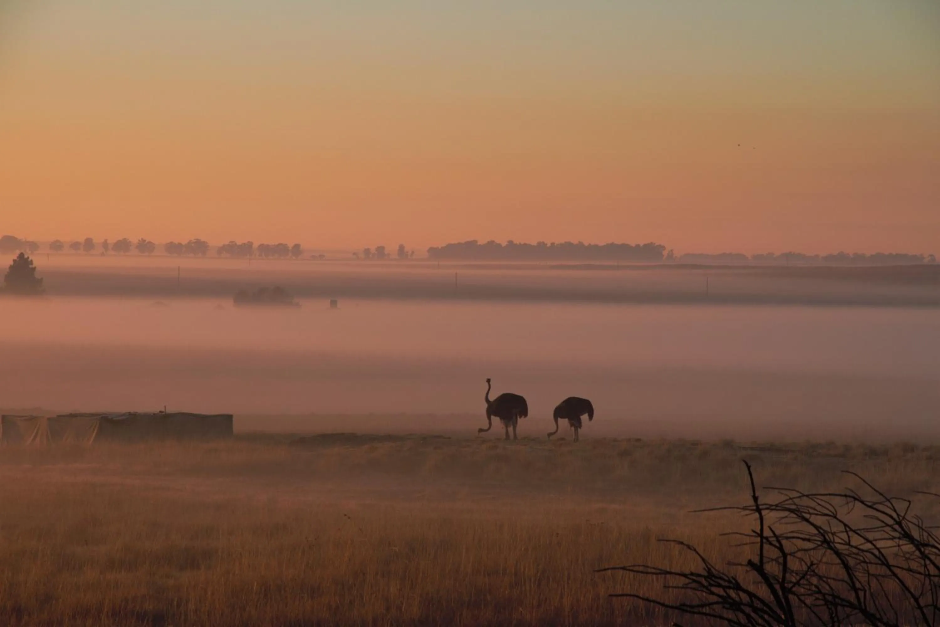 Property building in Grasslands Conference and Wedding Venue