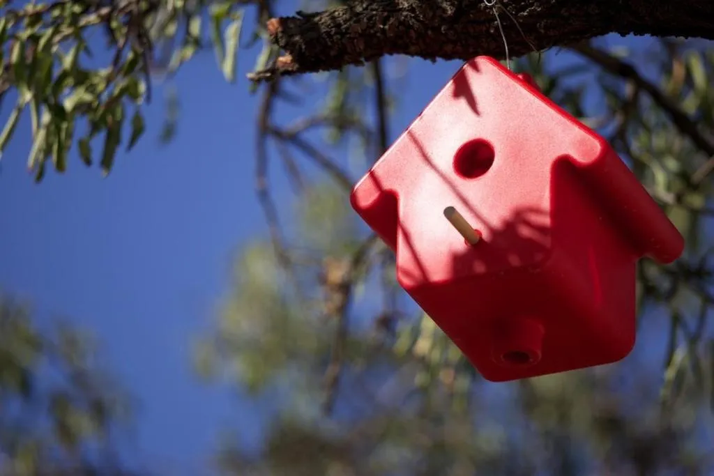 Garden in Résidence Le Clos Saint Paul