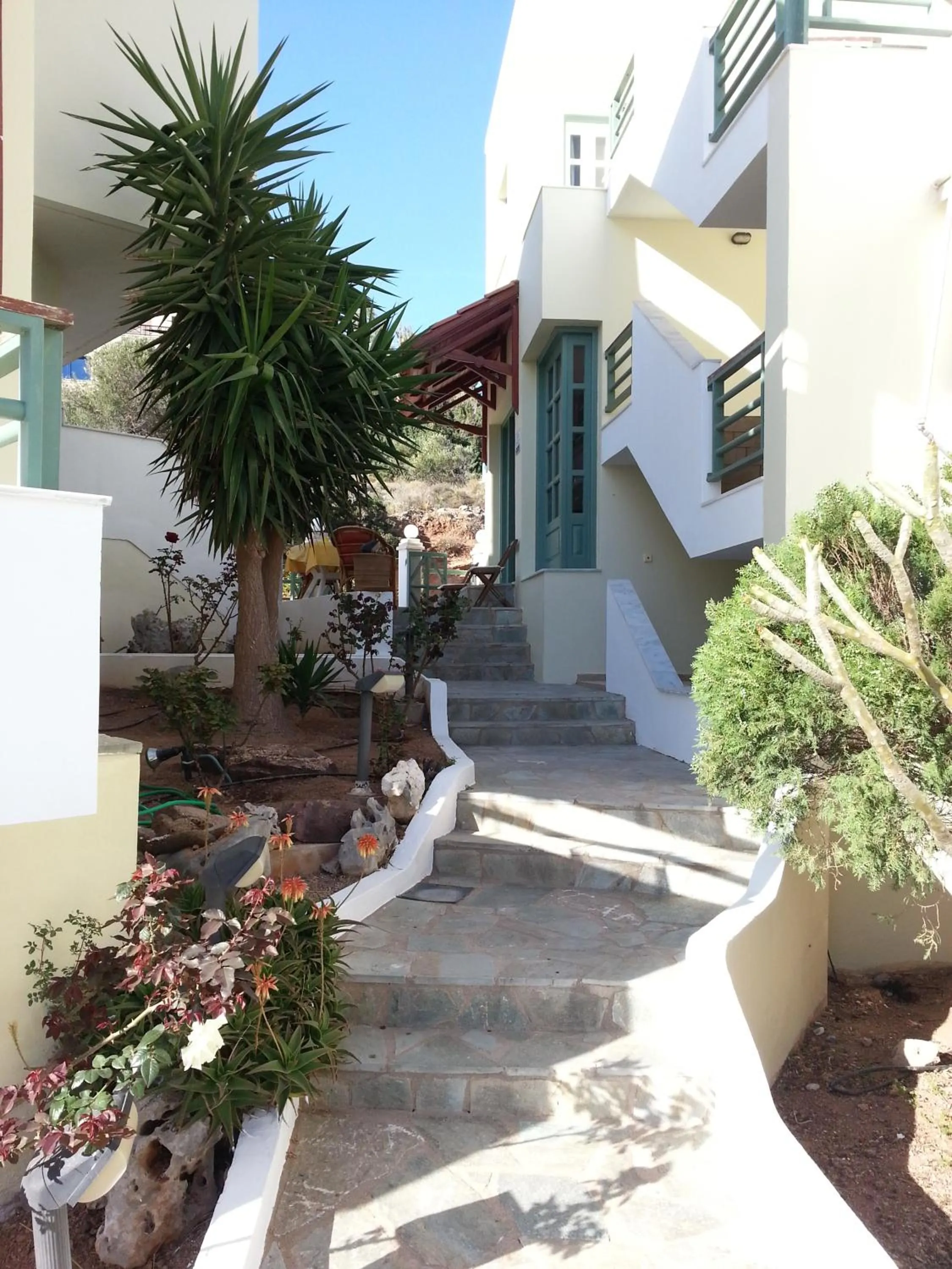 Patio in Elia Studios