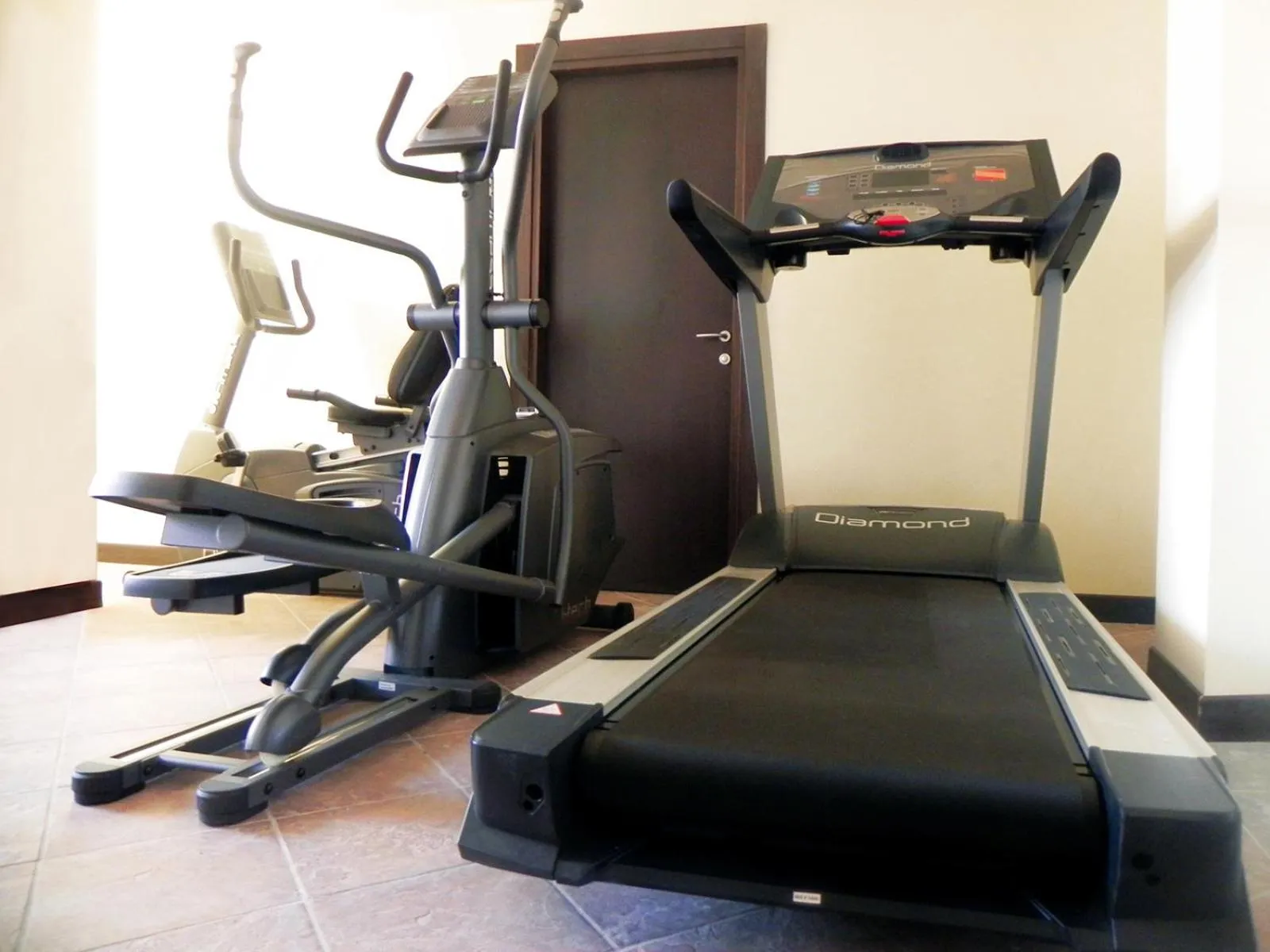 Fitness centre/facilities in Vercelli Palace Hotel