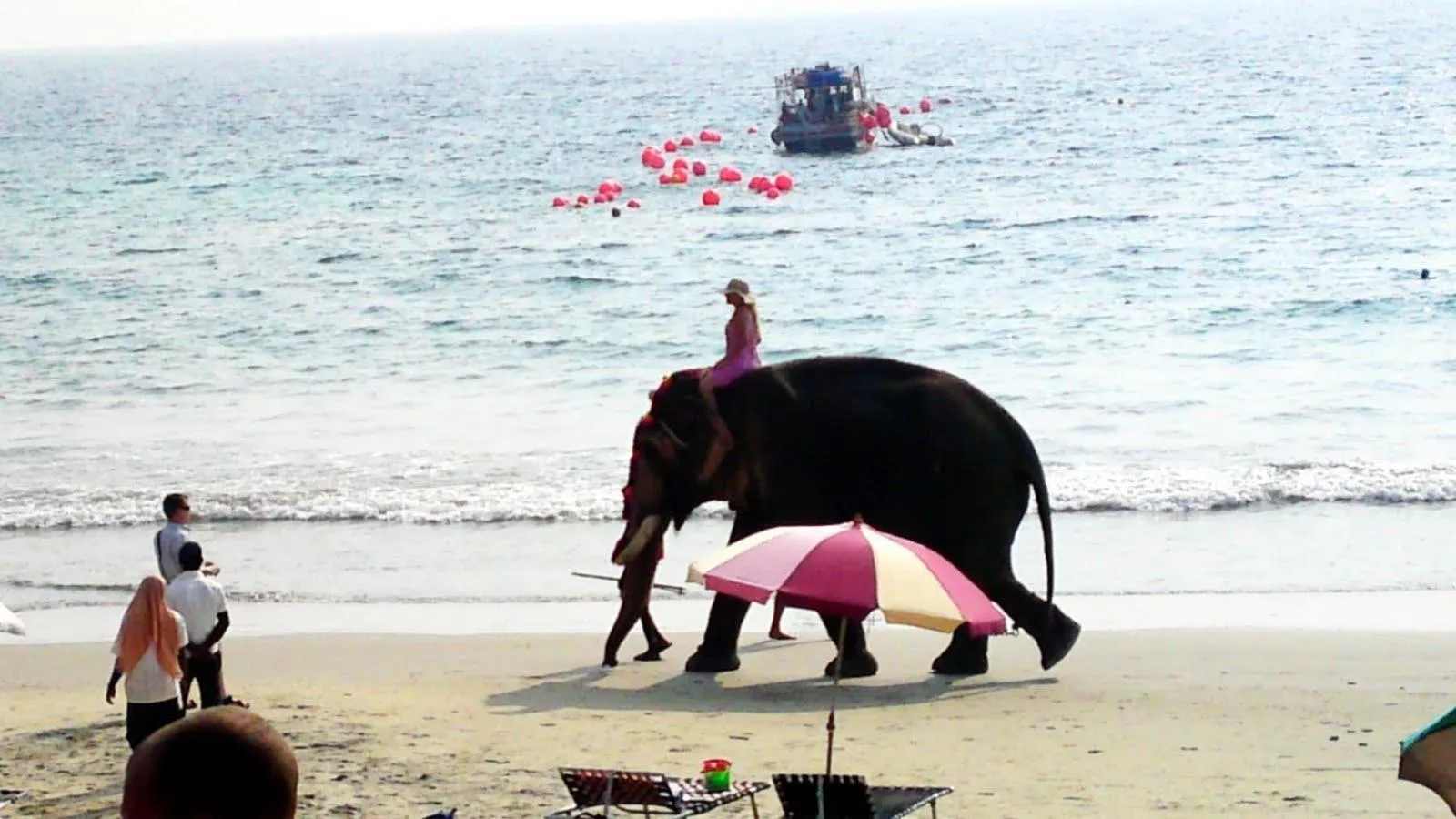 Activities in Beach Florra Inn