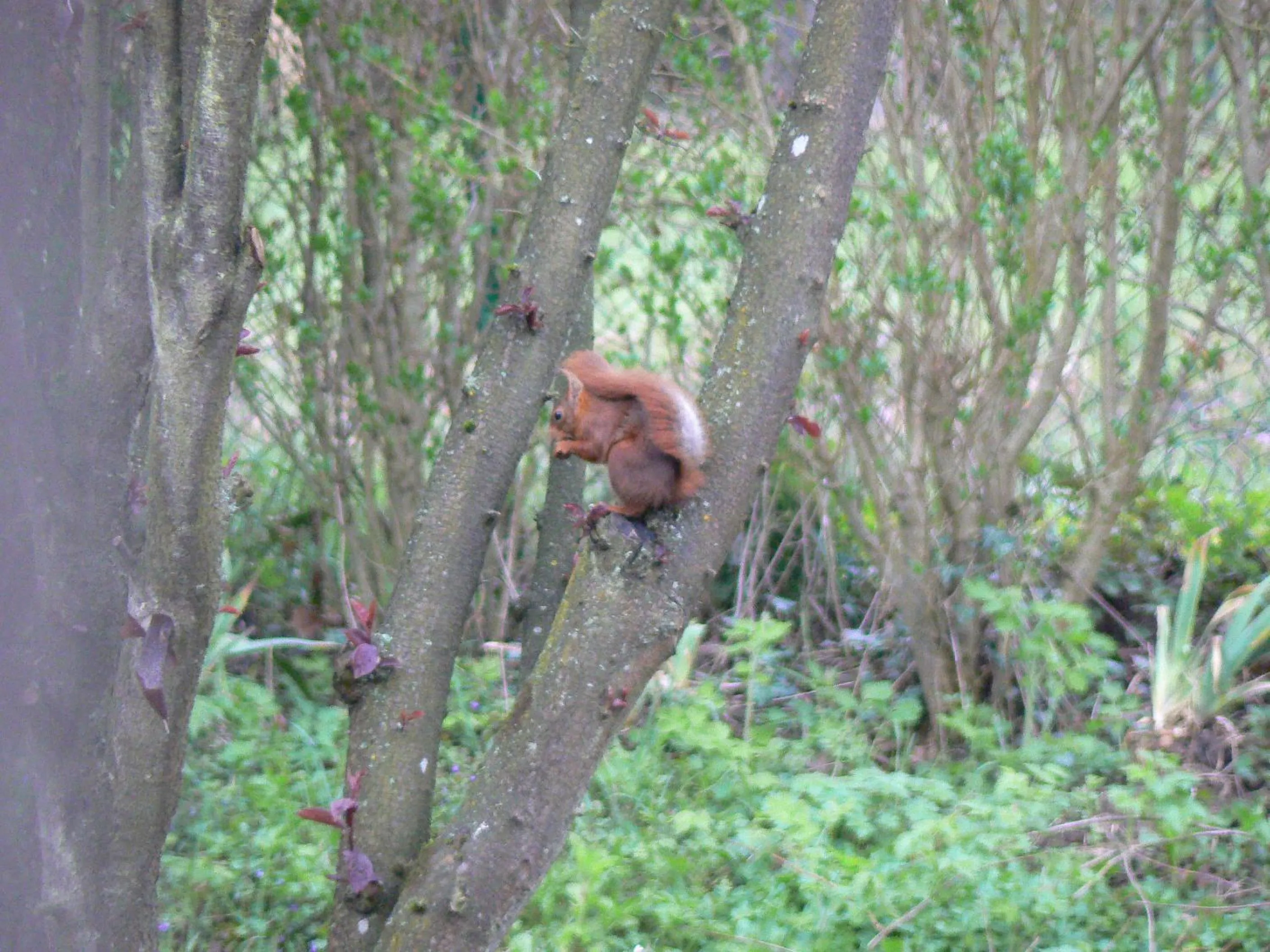 Area and facilities in Chambre d'hôtes du Moulin de Landonvillers