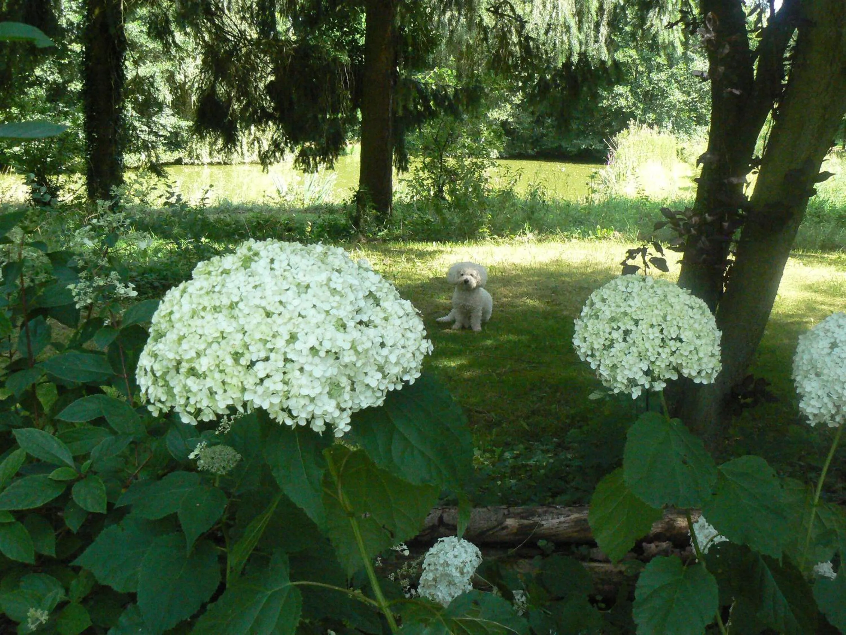 Day in Chambre d'hôtes du Moulin de Landonvillers