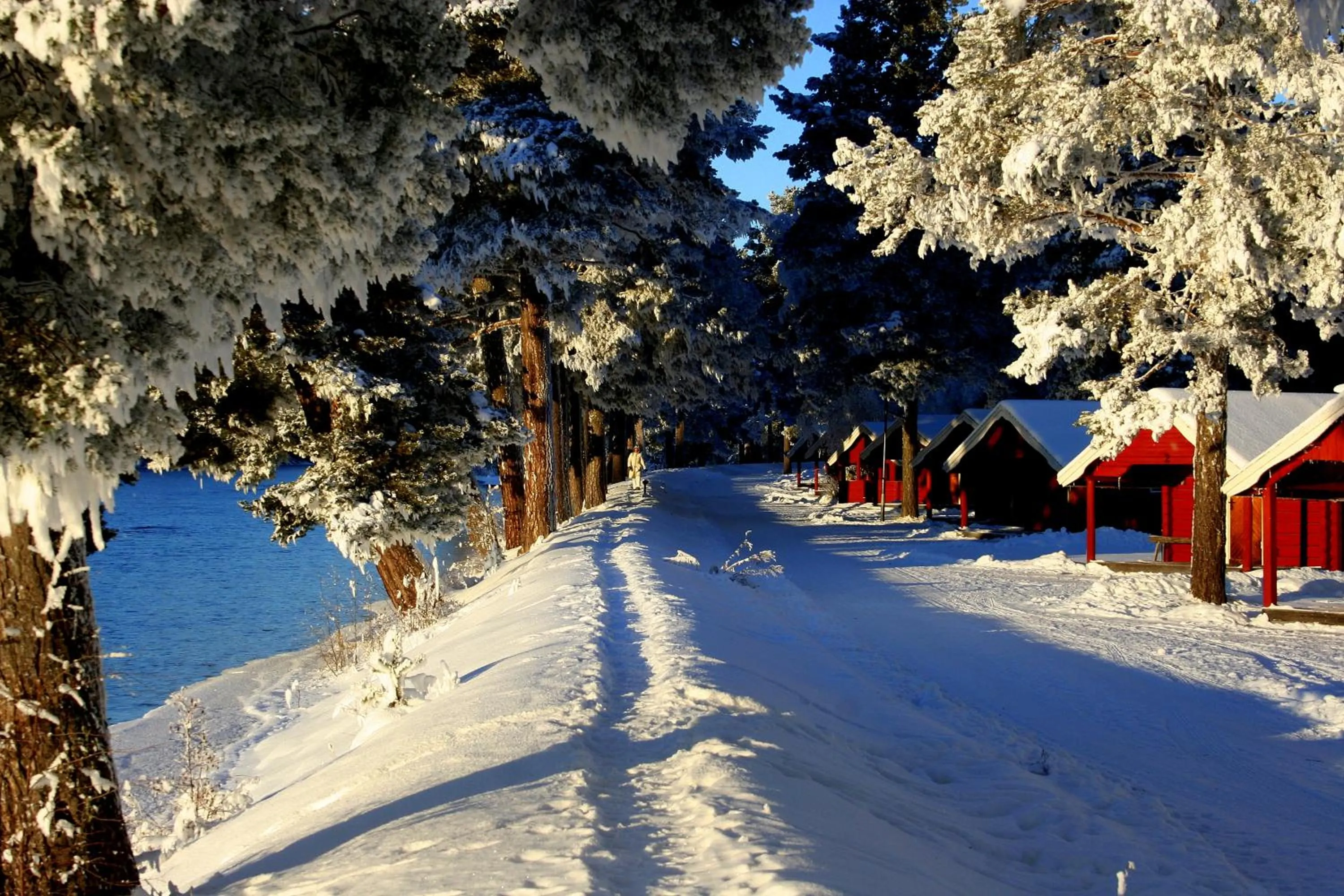 Natural landscape in Älvdalens Camping