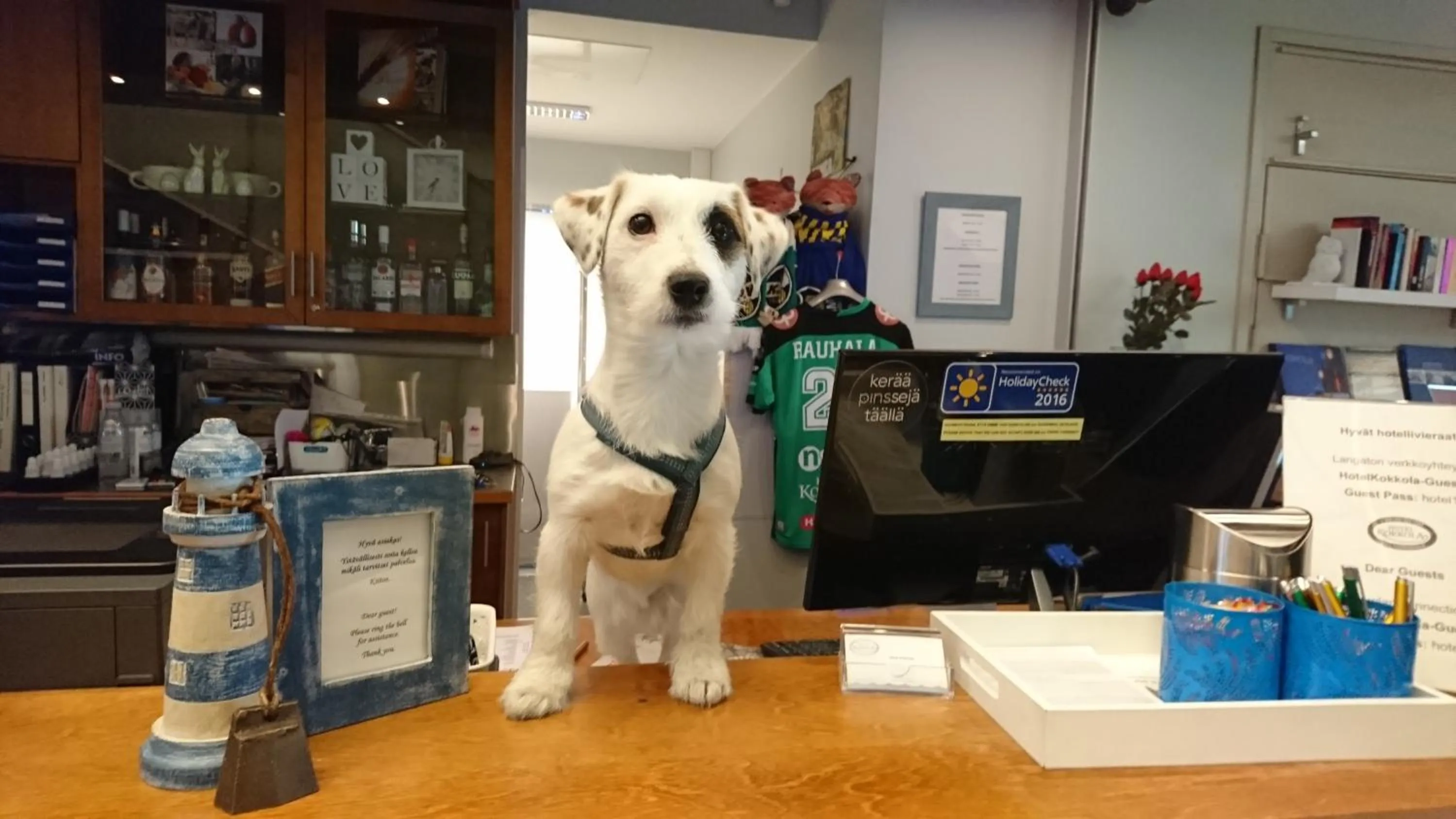 Staff in Hotel Kokkola