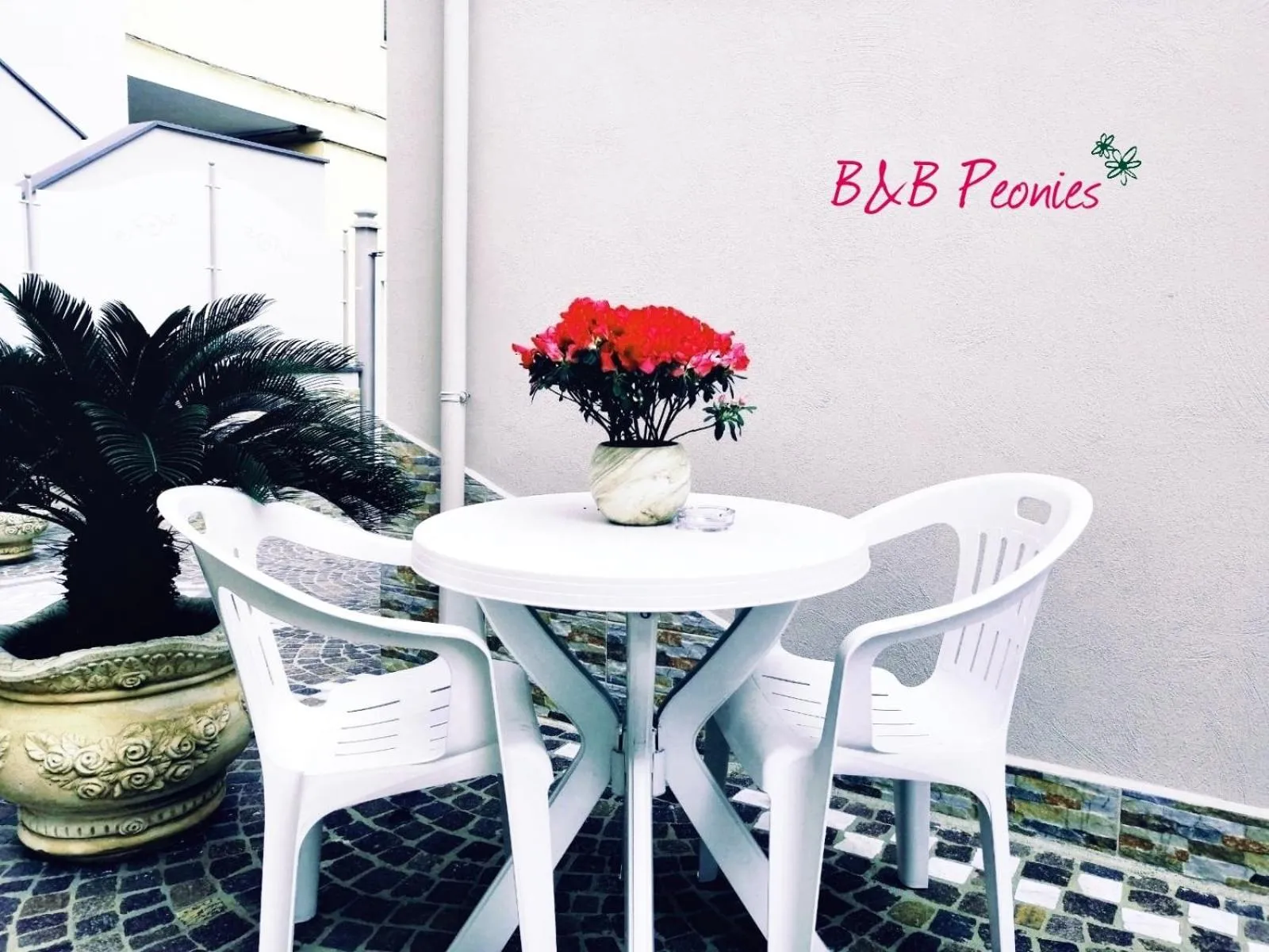 B&B Peonies