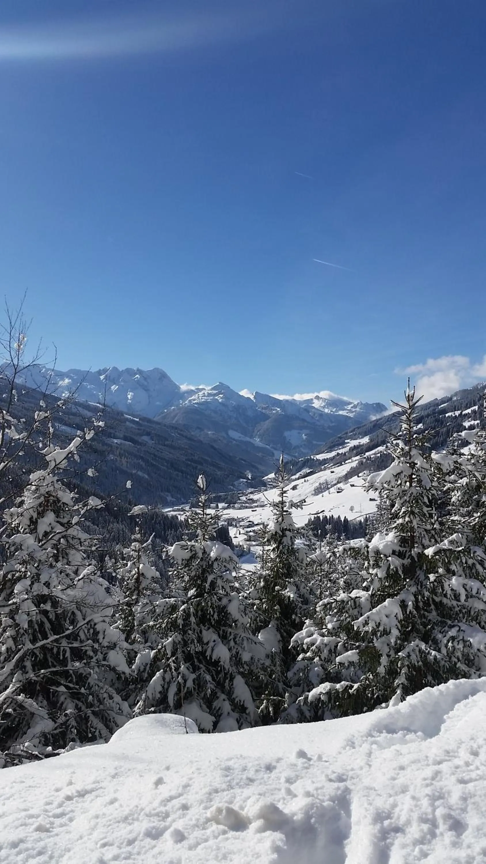 Natural landscape in alpenrose hotel-garni