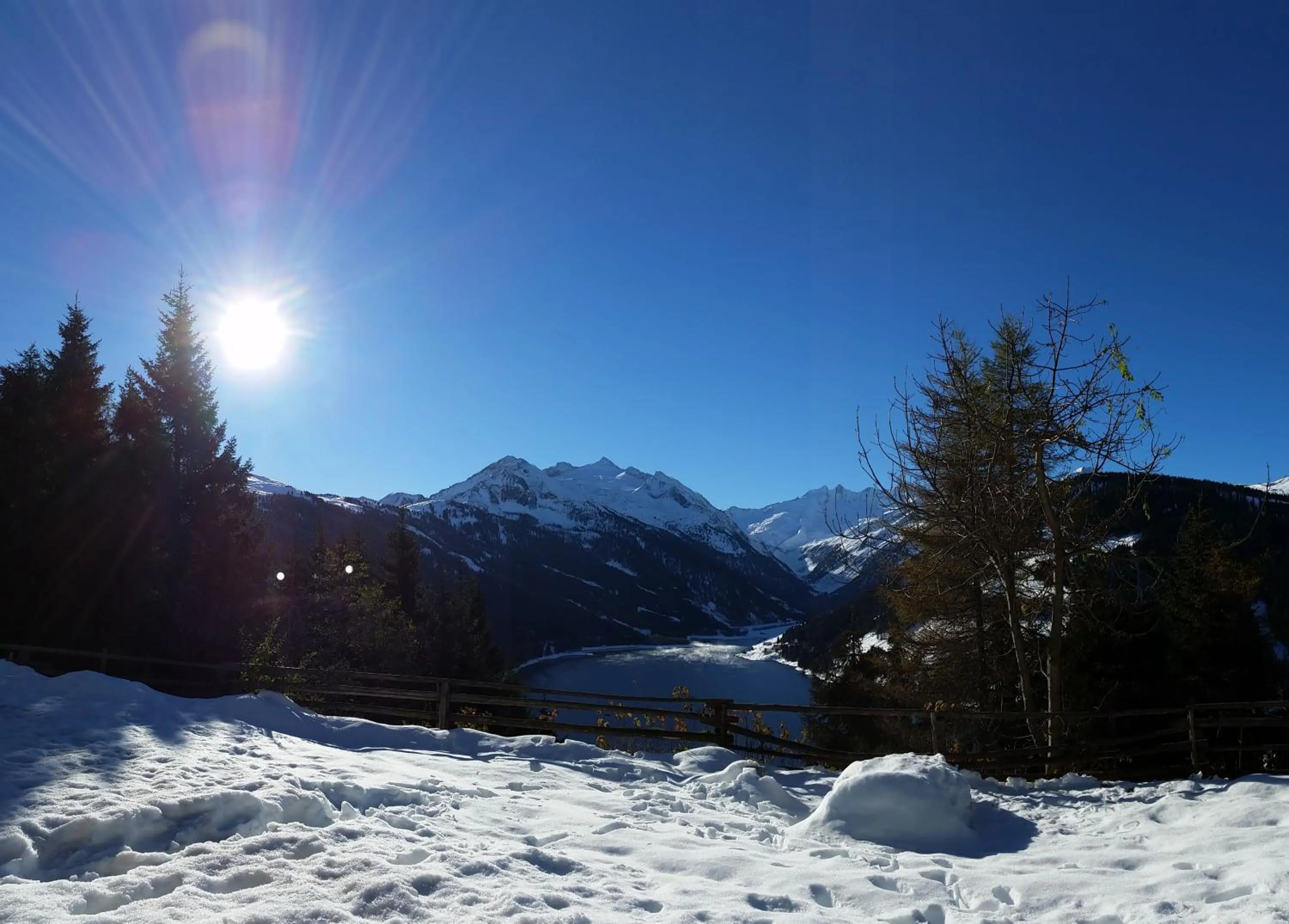 Natural landscape in alpenrose hotel-garni