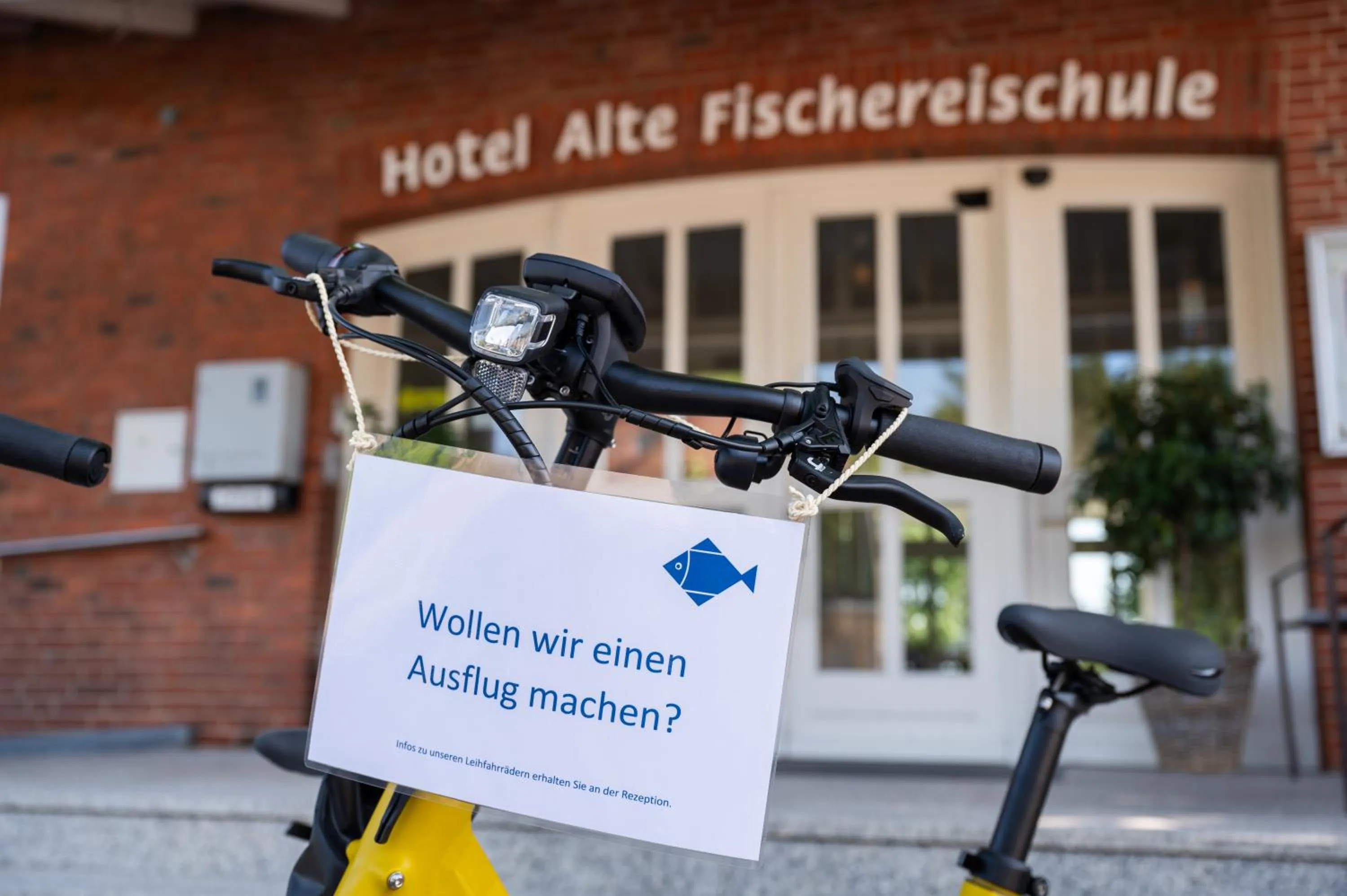 Activities in Hotel Alte Fischereischule