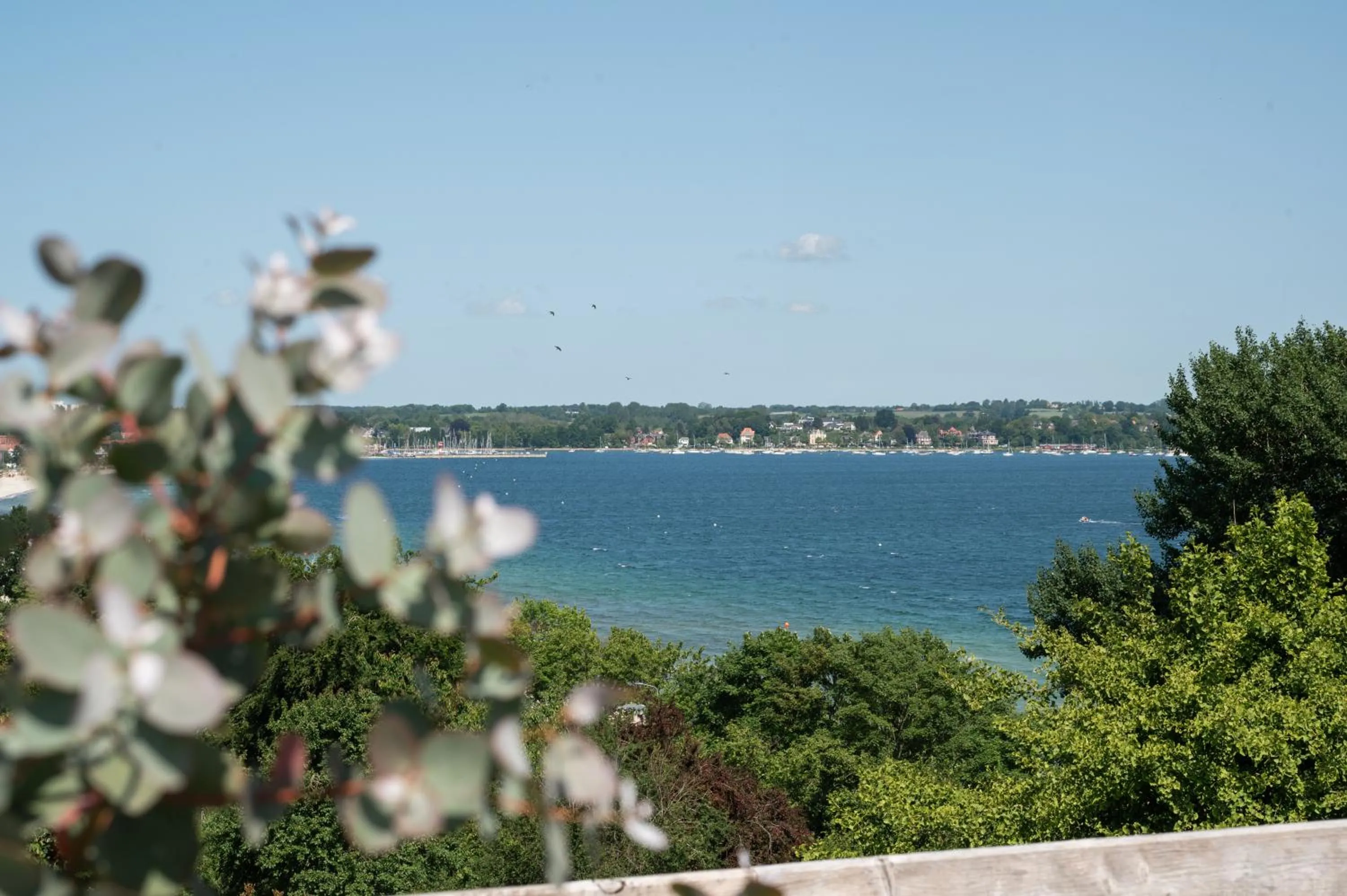 View (from property/room) in Hotel Alte Fischereischule