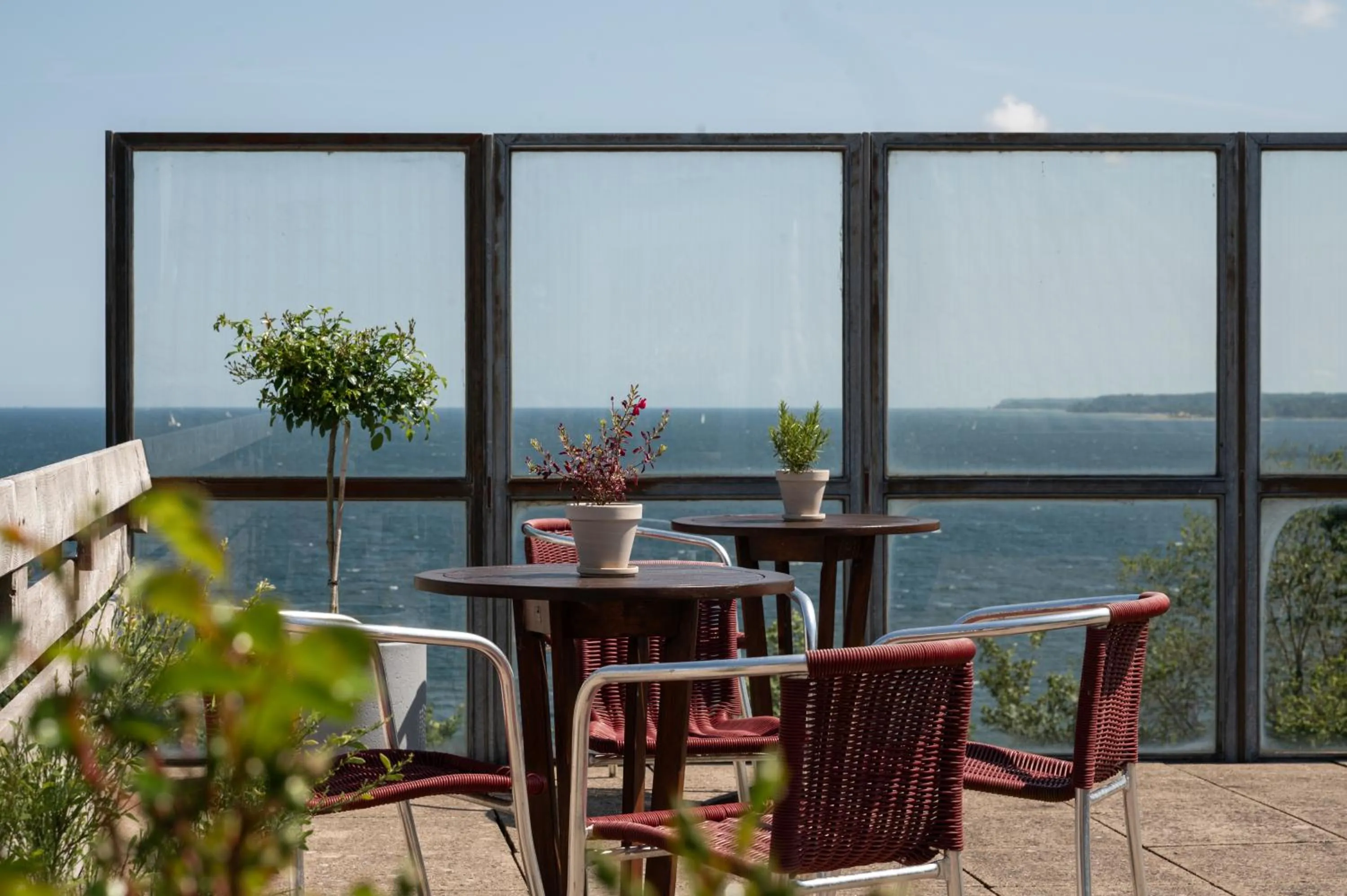 Balcony/Terrace in Hotel Alte Fischereischule