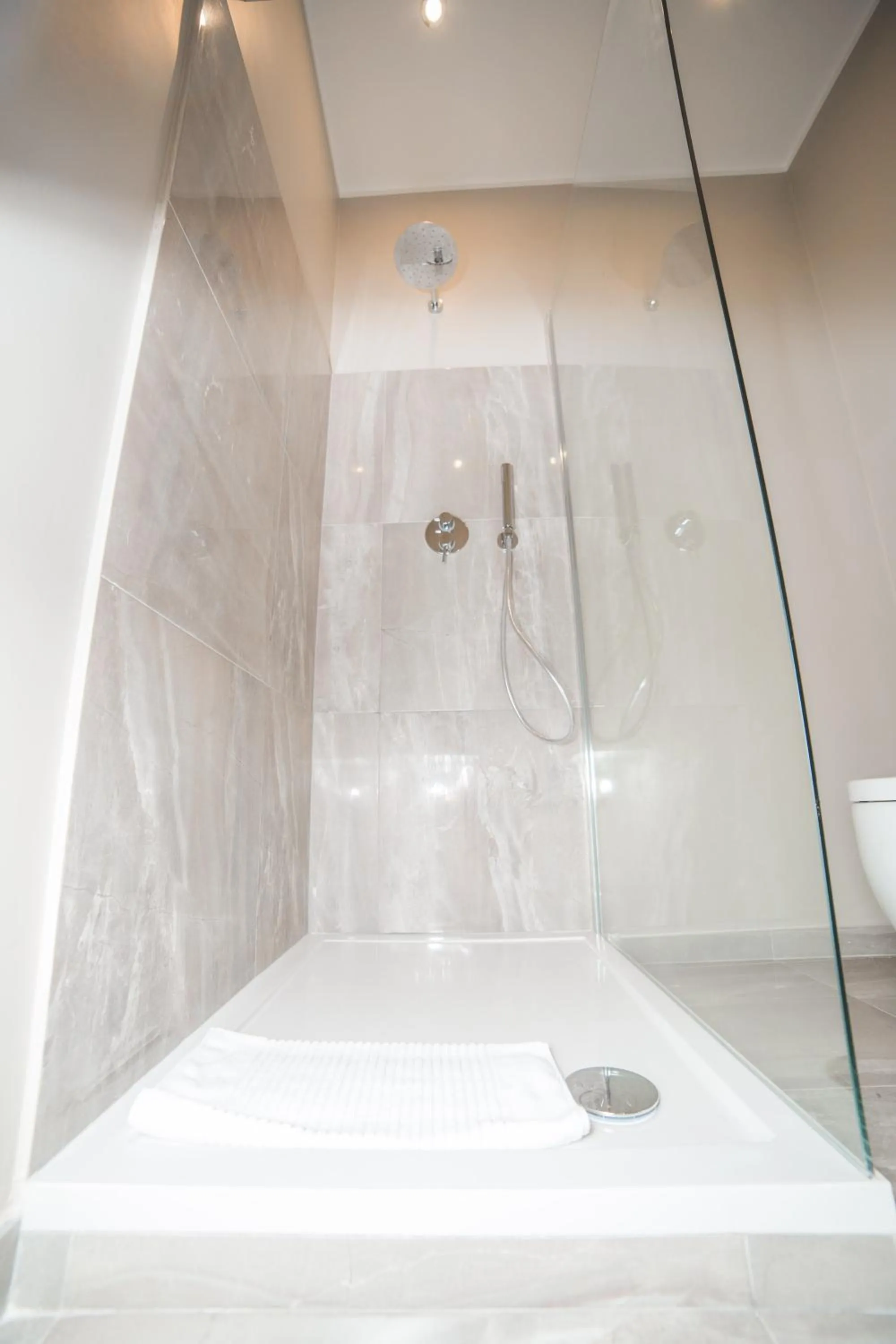 Shower in Trevi Portrait