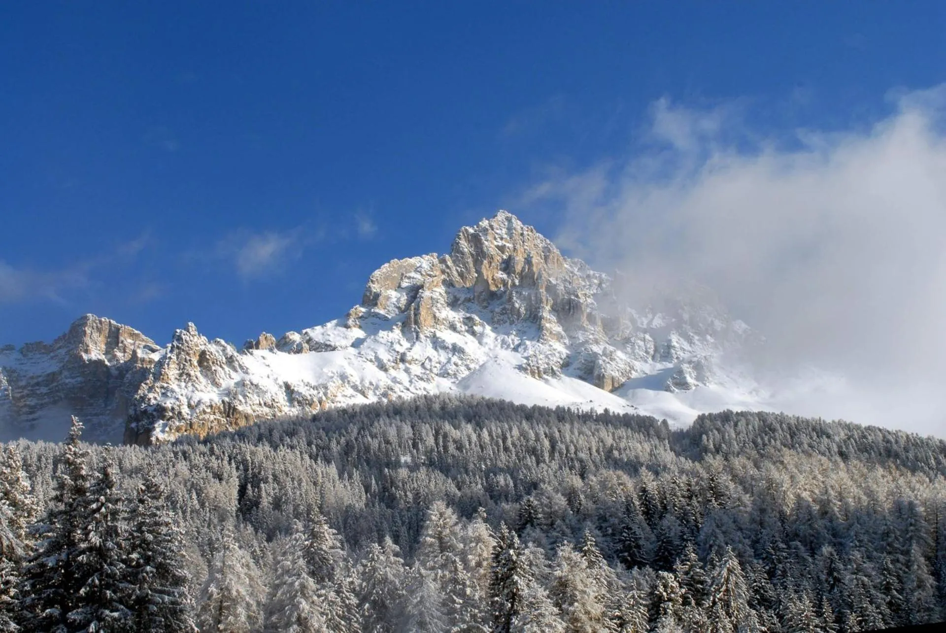 Natural landscape in Good Life Hotel Zirm