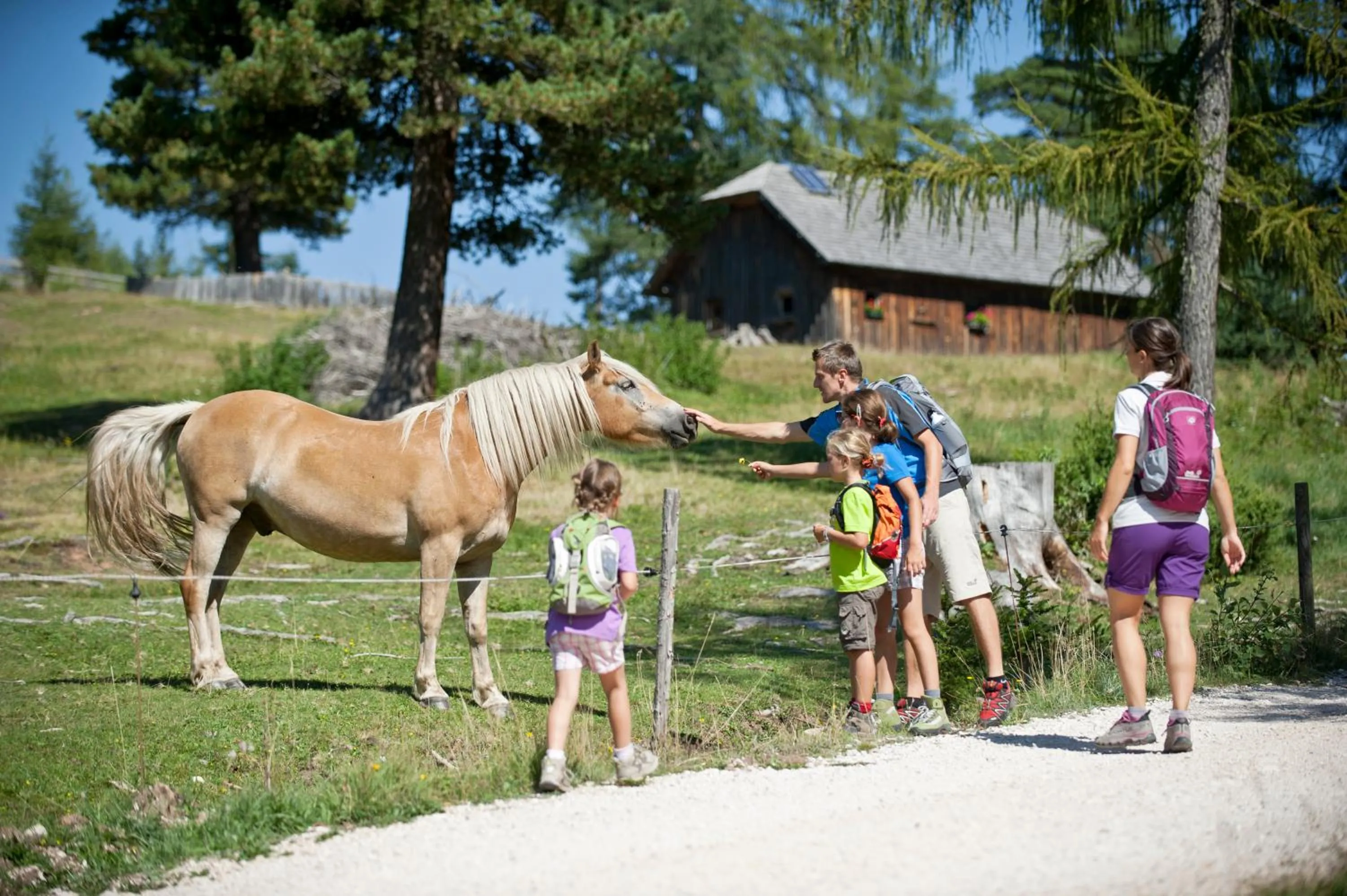 Animals in Good Life Hotel Zirm