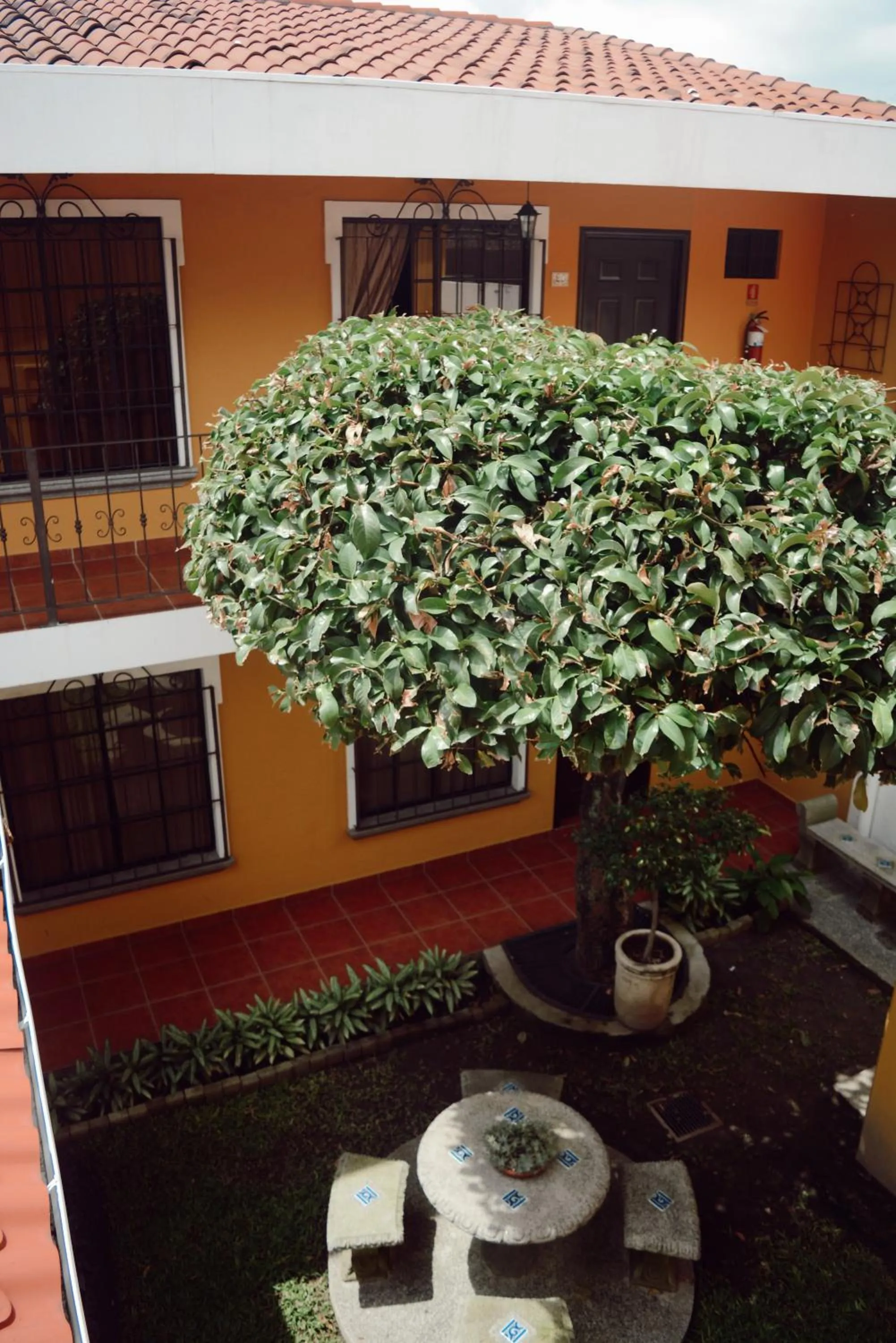 Garden in Hotel Villa Terra