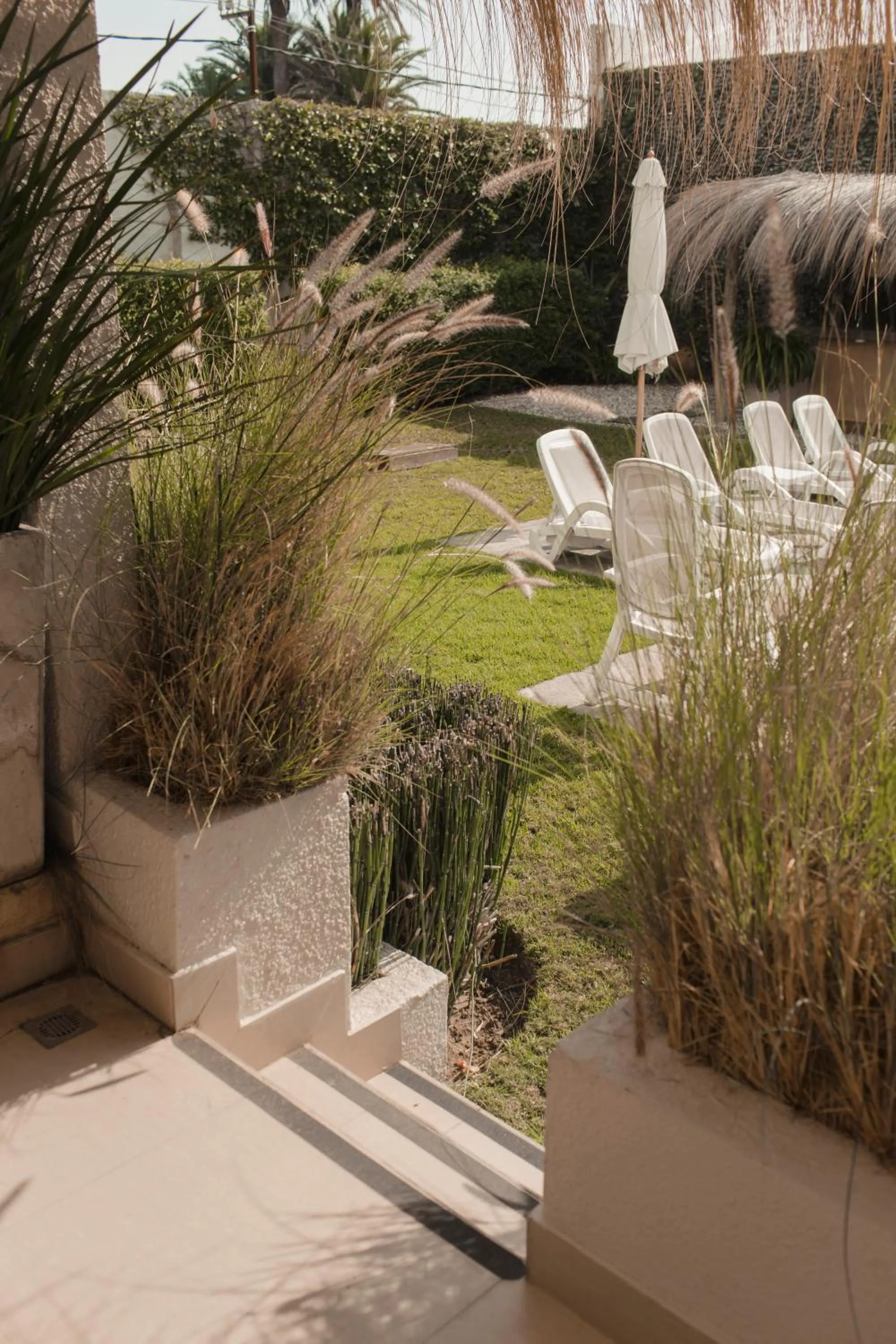 Garden view in Atlántico Boutique Hotel