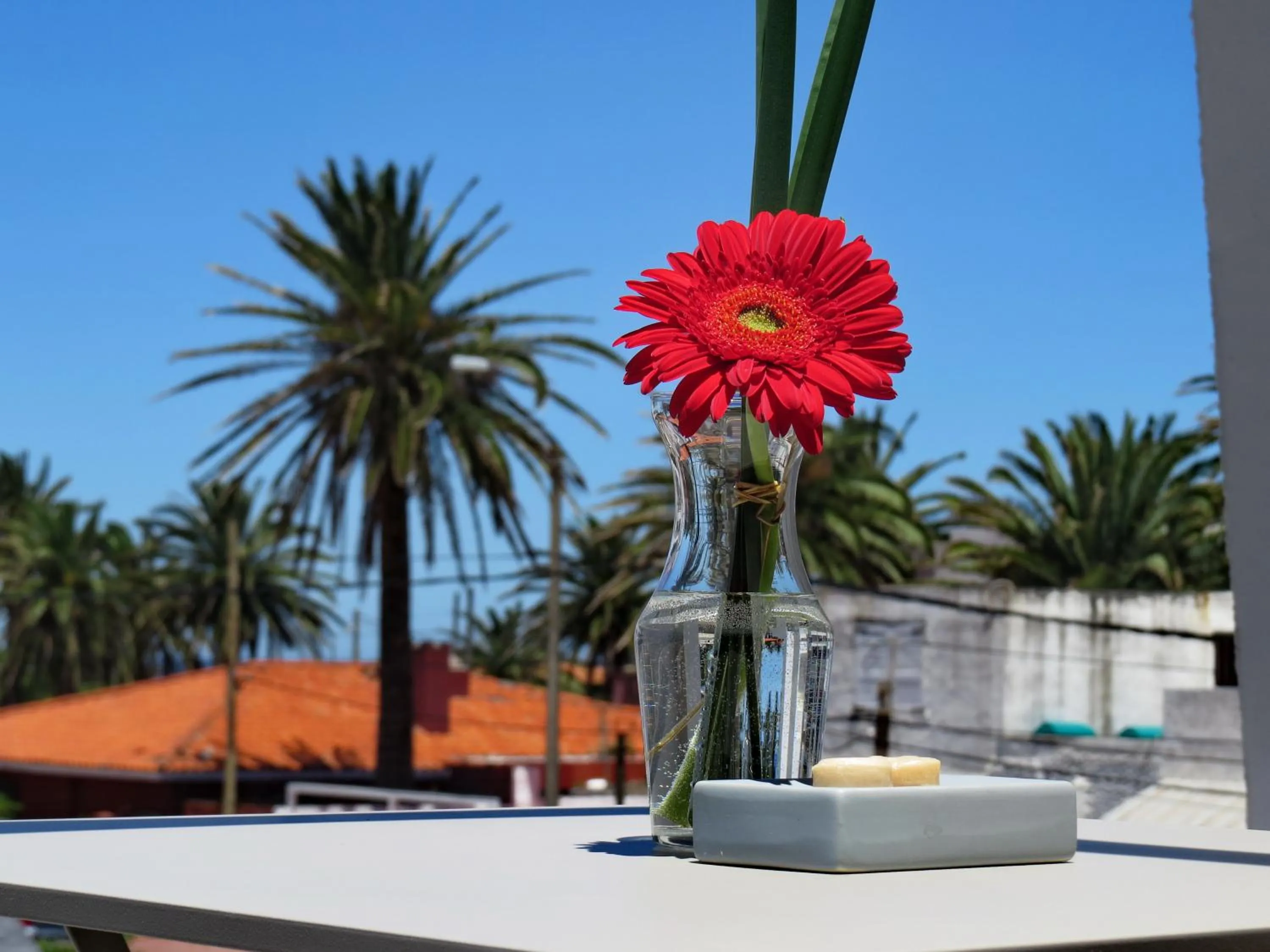 Decorative detail in Atlántico Boutique Hotel