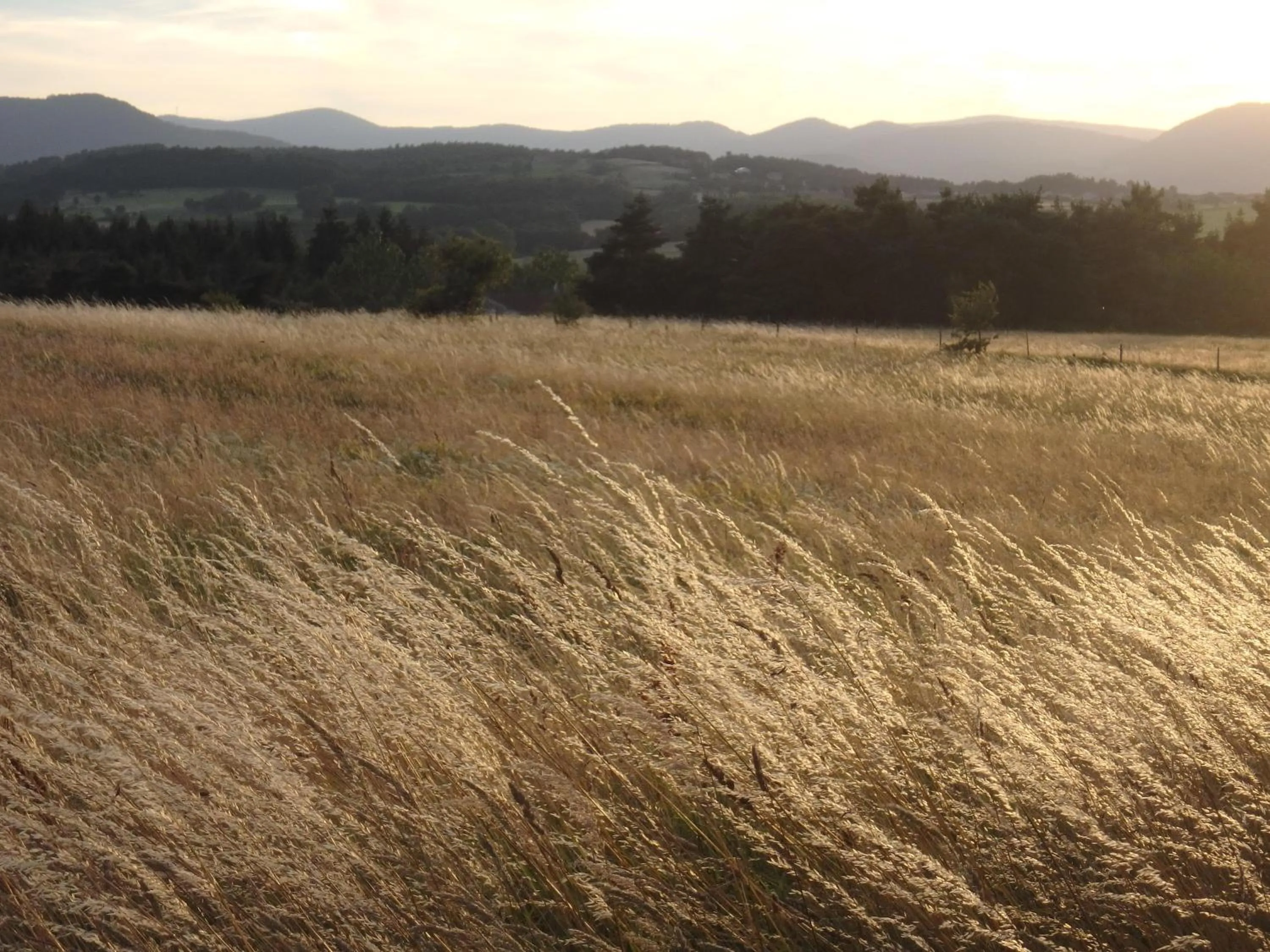 Summer in le Corral chambre d'hôte