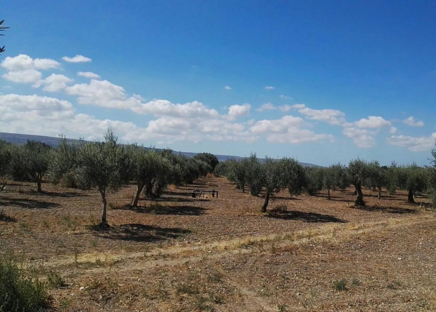 Natural landscape in Dimora di Dante
