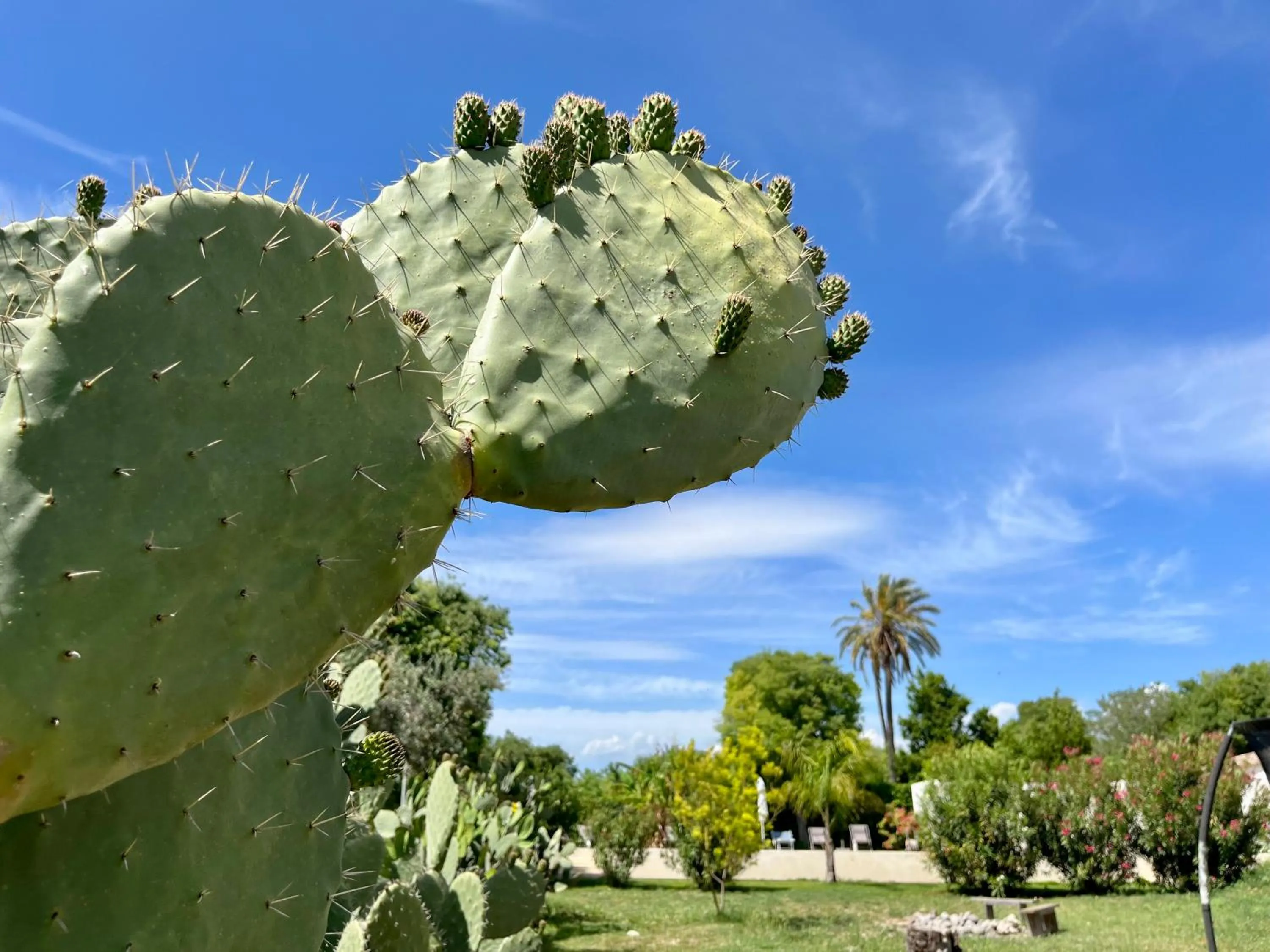 Garden in Dimora di Dante