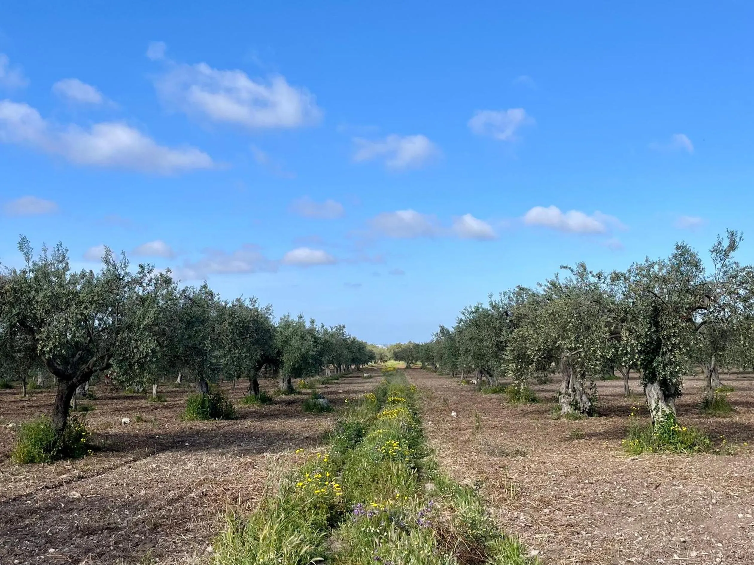 Natural landscape in Dimora di Dante