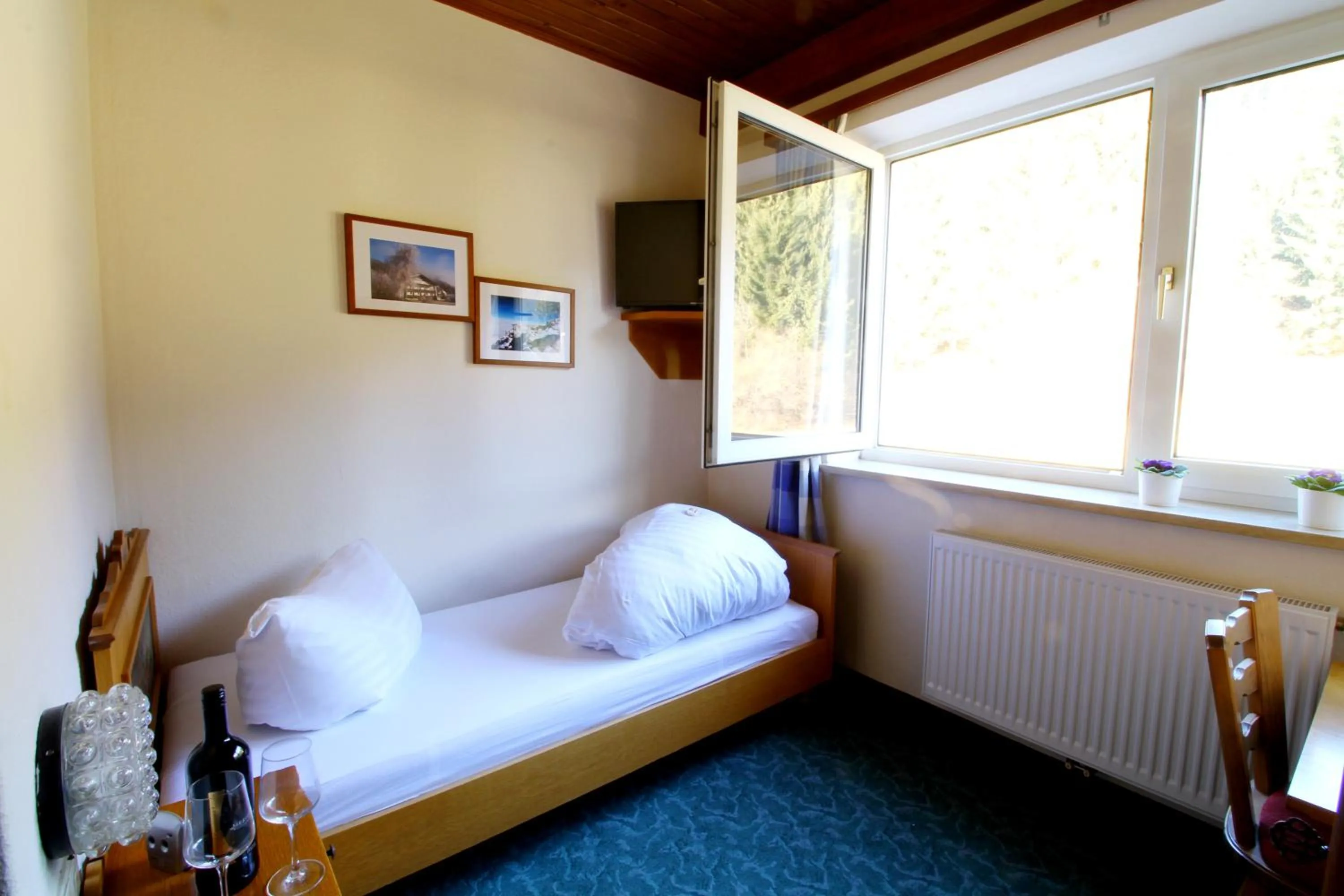 Photo of the whole room, Bed in Hotel Sonnleitn