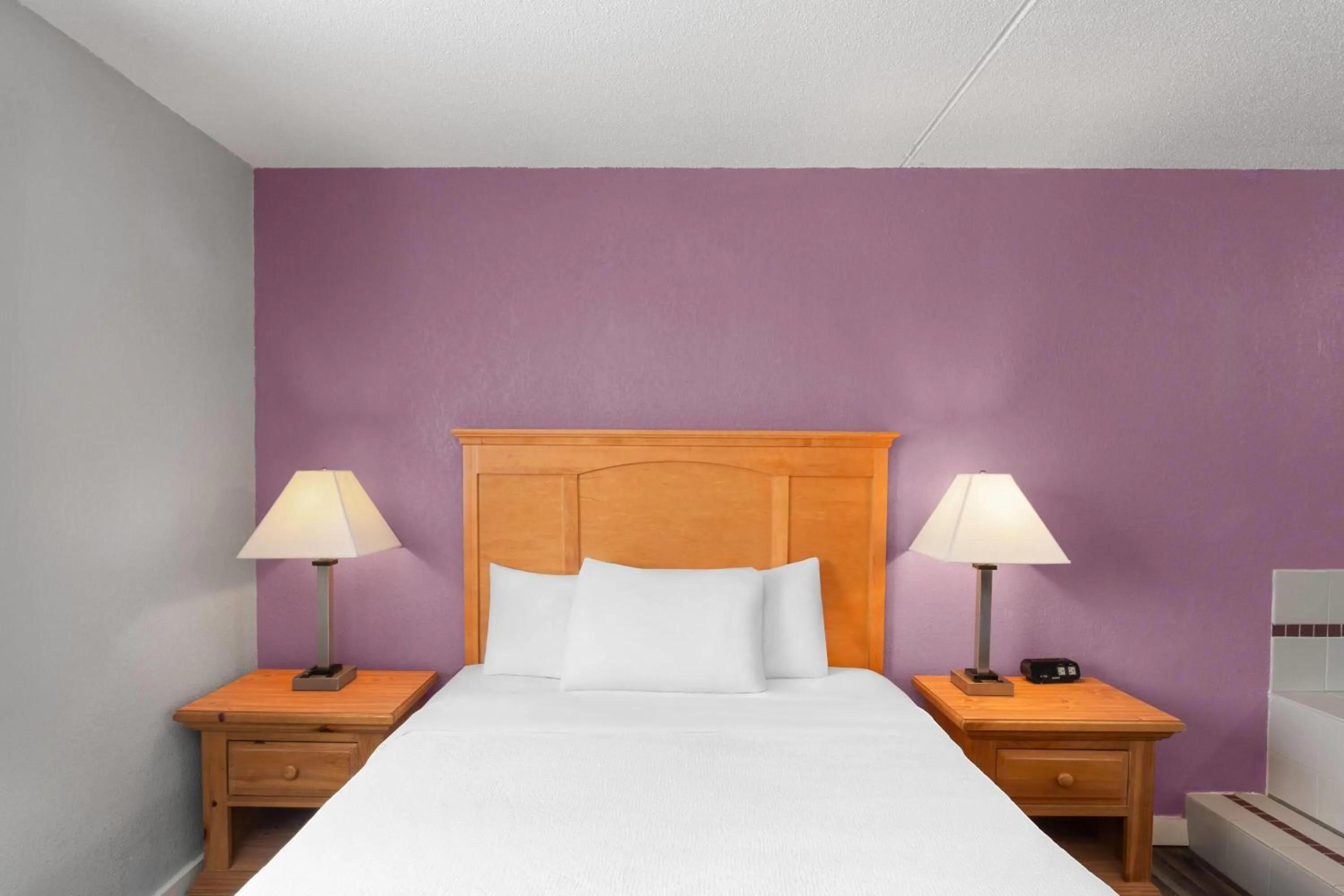 Bath, Bed in Sauk River Inn & Suites, a Travelodge by Wyndham