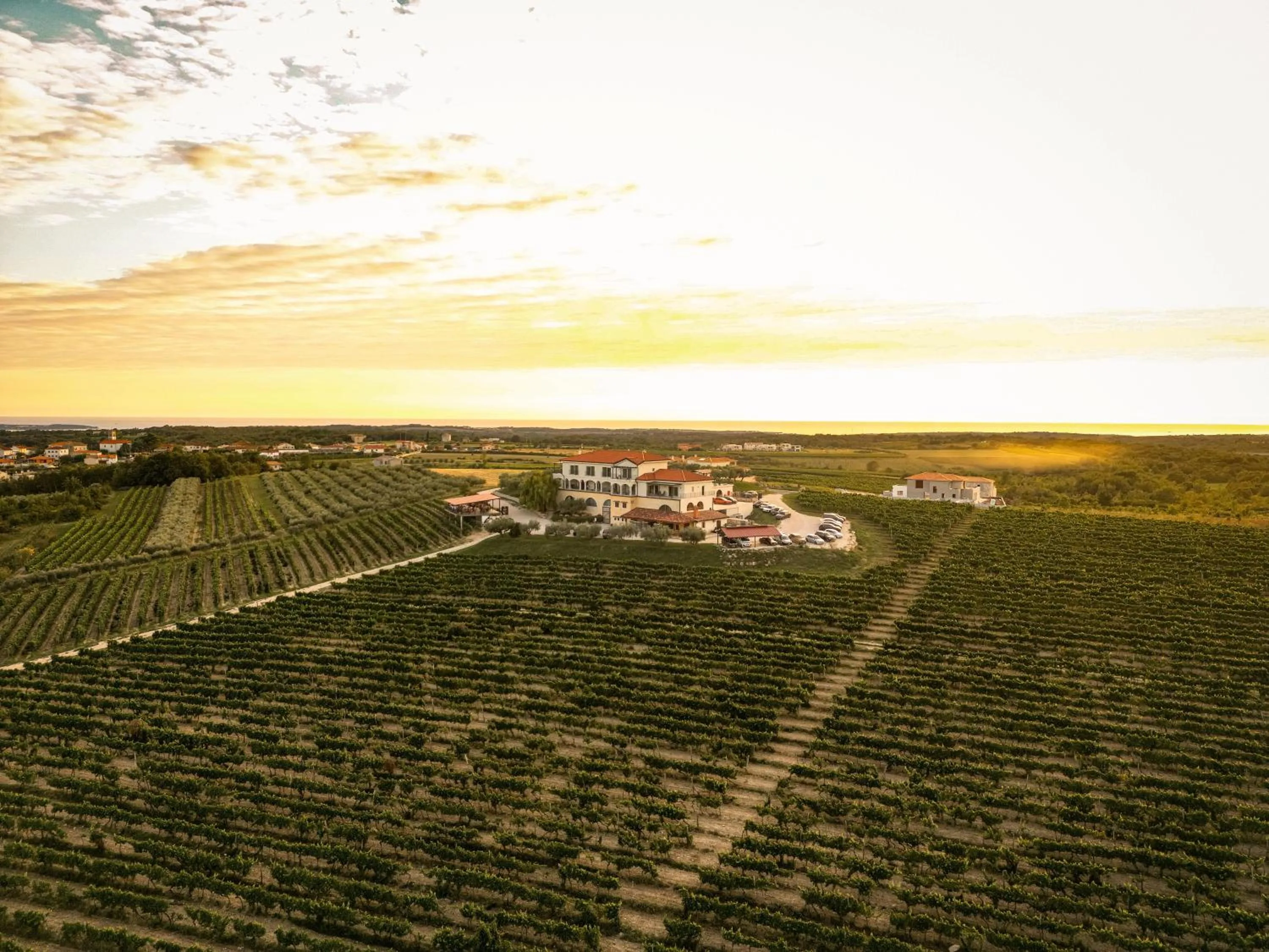 Natural landscape in Wine Residence Cattunar