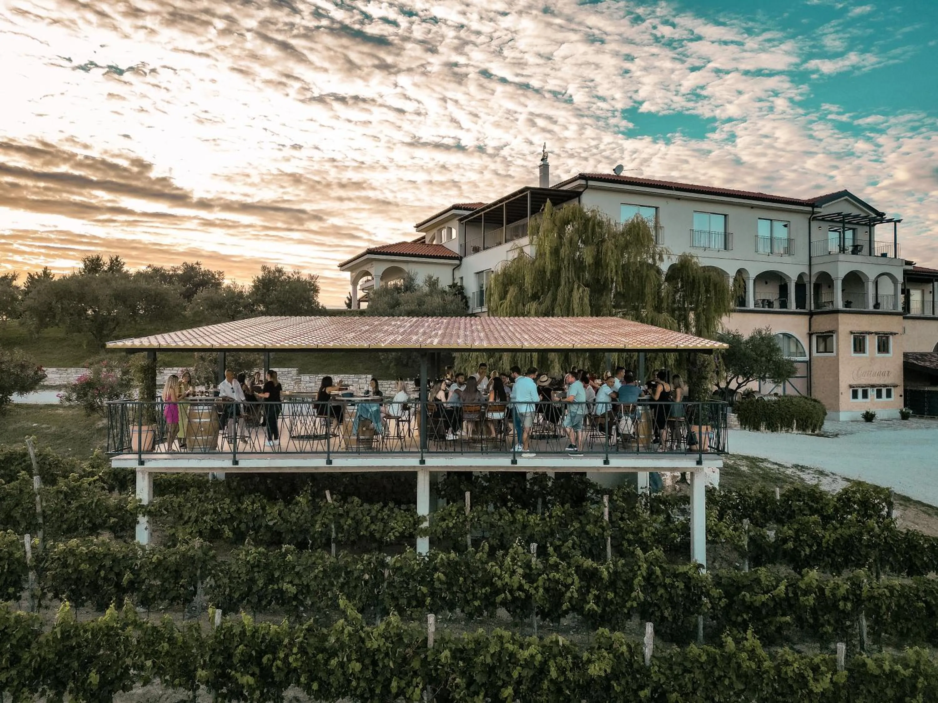 Garden in Wine Residence Cattunar