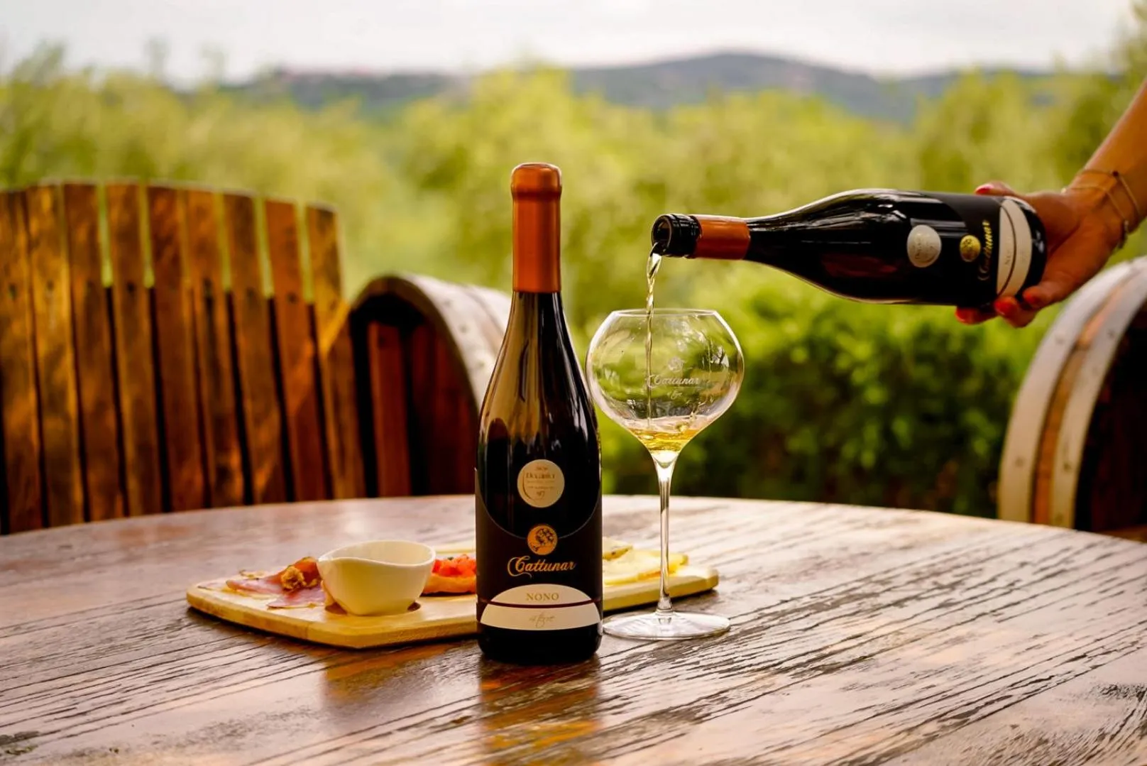 Garden in Wine Residence Cattunar