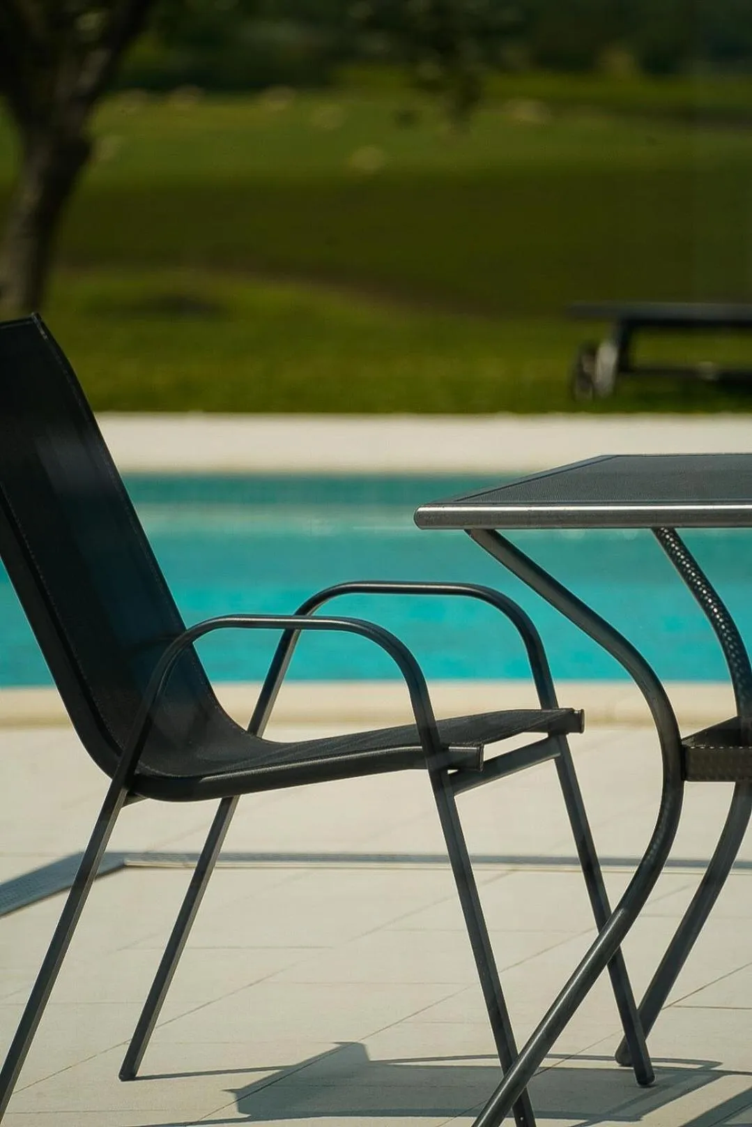 Garden in Wine Residence Cattunar