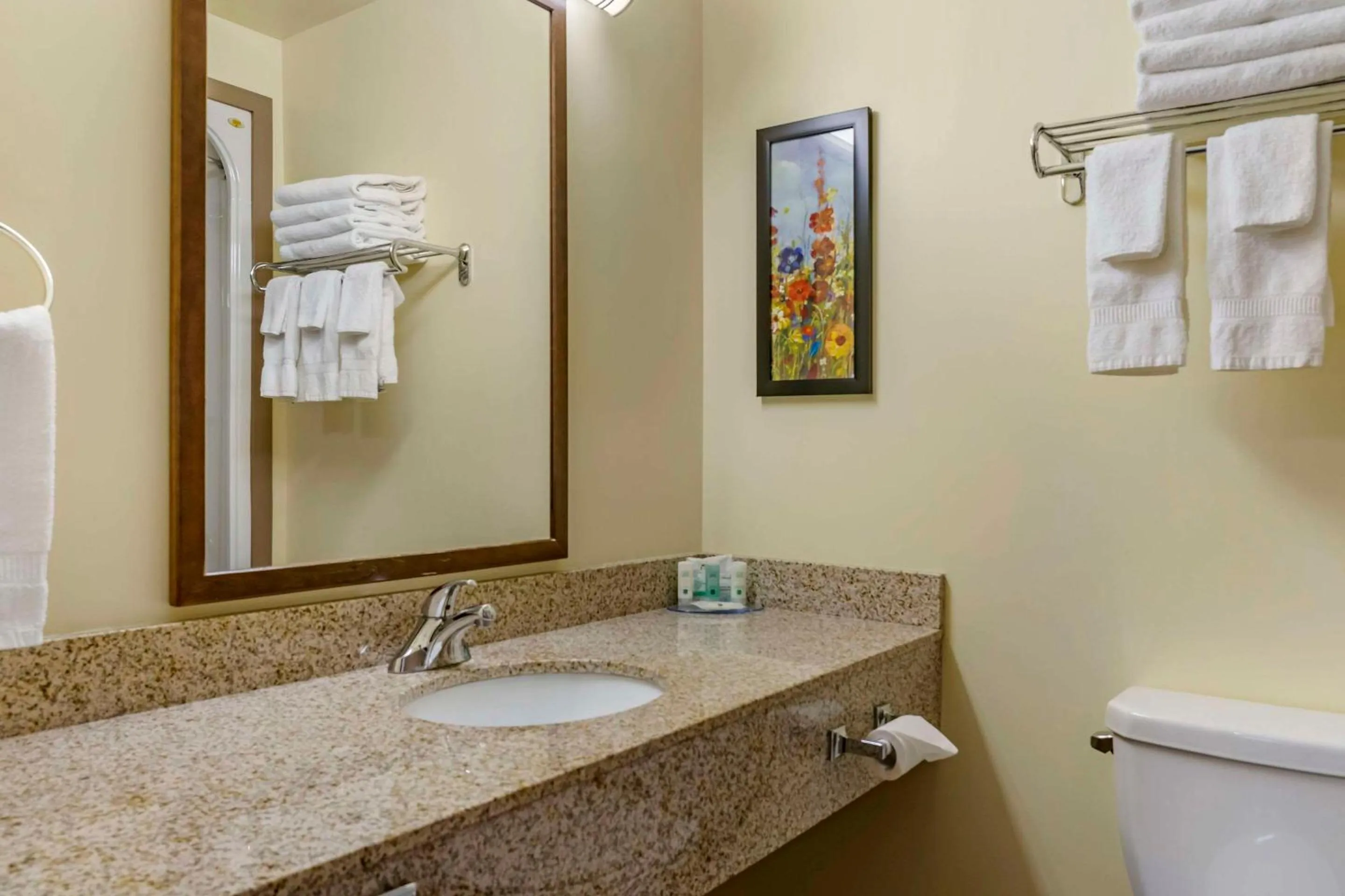 Bedroom in Quality Inn & Suites