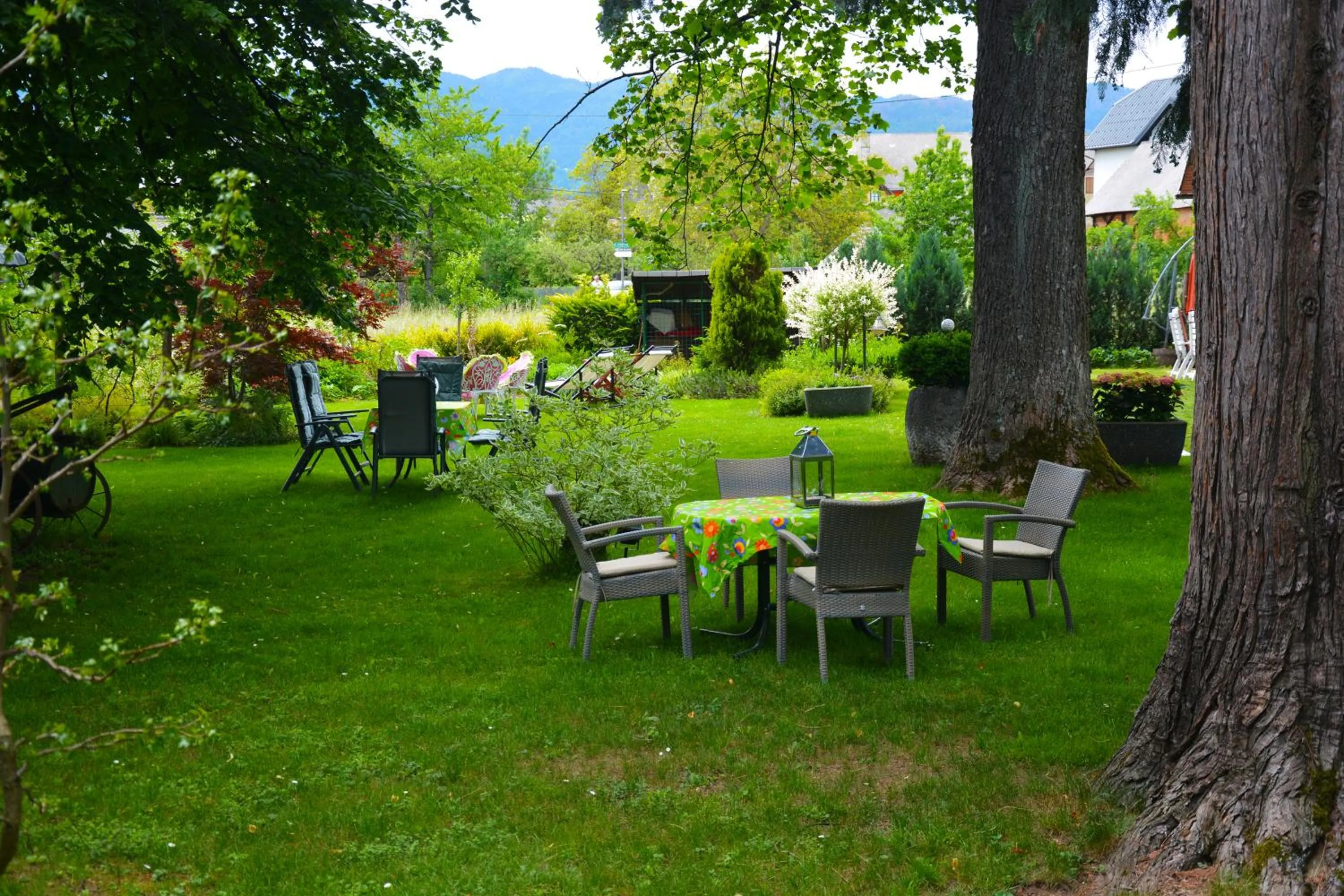 Double Room - single occupancy in Vila Ana Generoes Bled