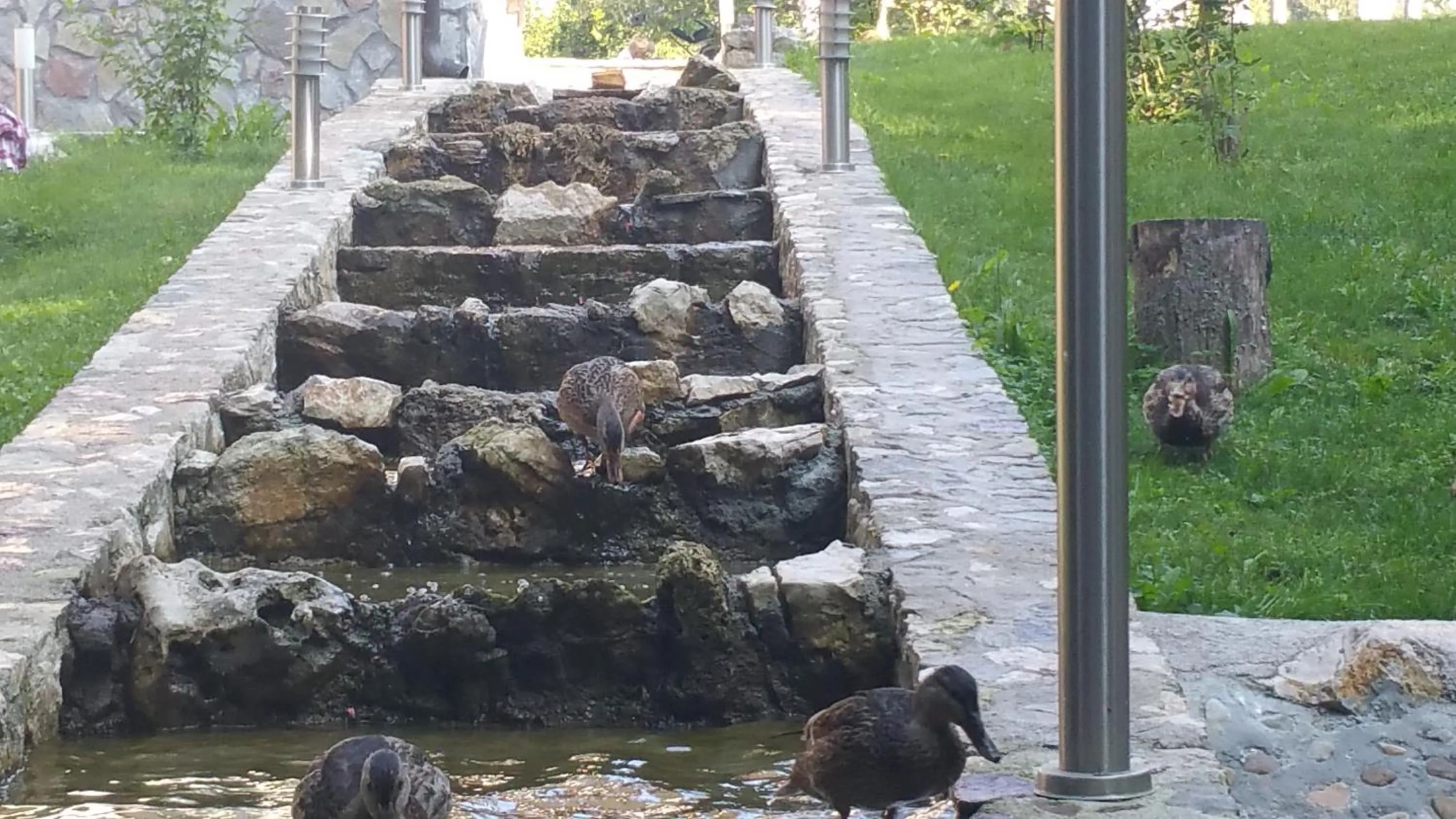 Day in Rustic Inn River 2