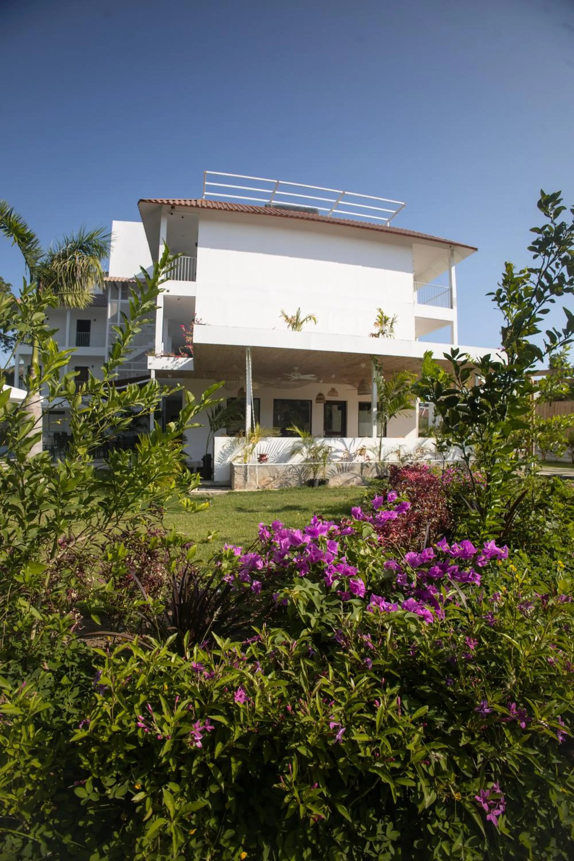 Garden view in Hotel Pedasí Nature Paradise