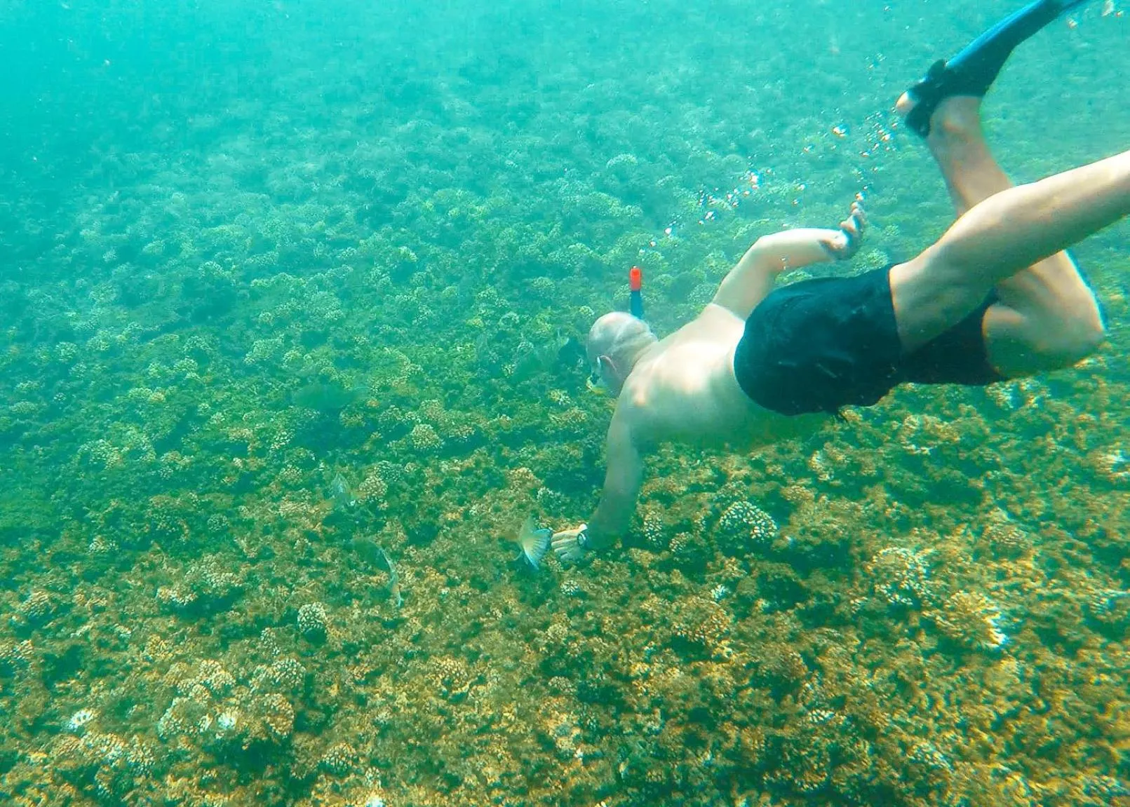 Activities in Hotel Pedasí Nature Paradise