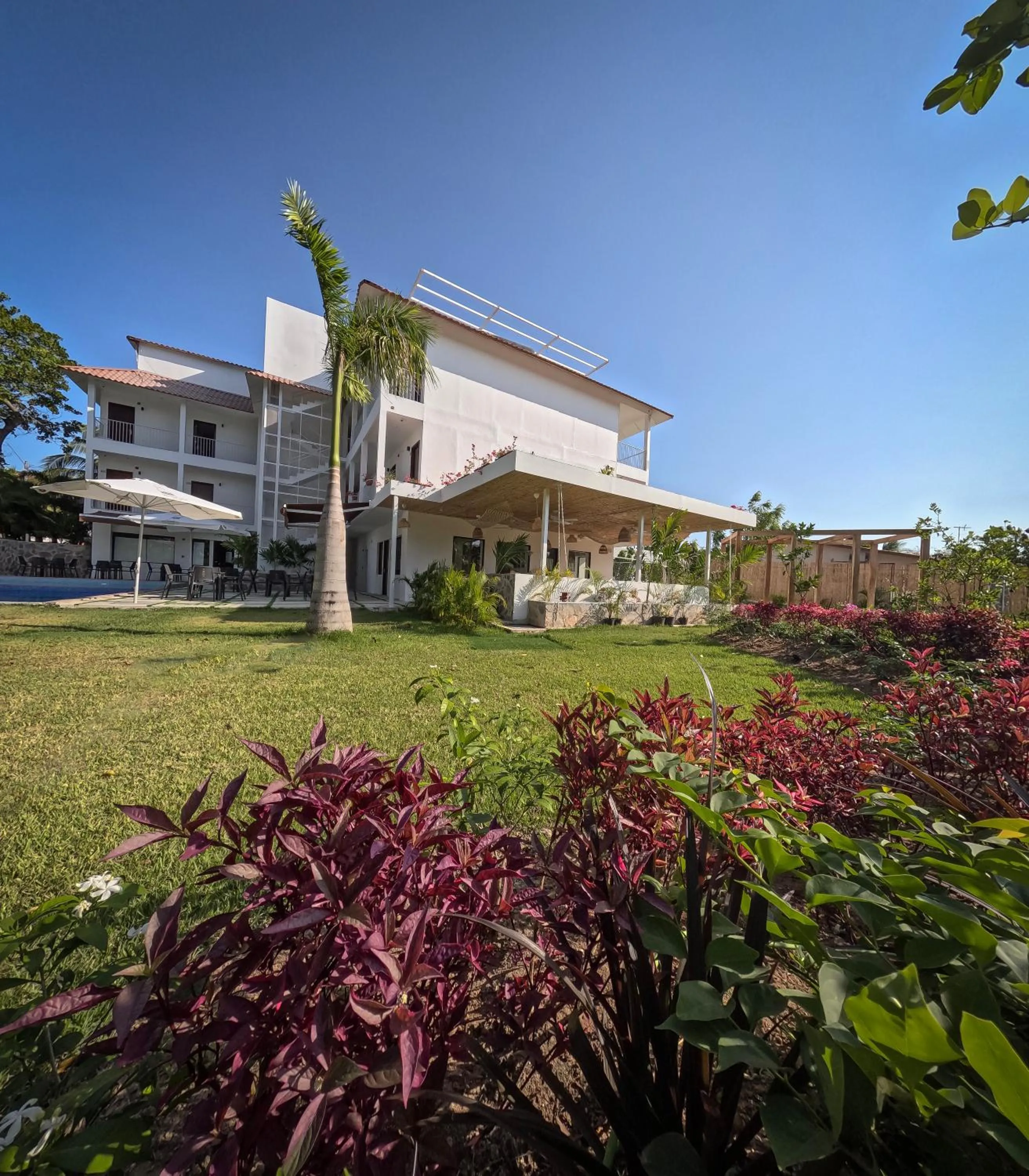 Garden view in Hotel Pedasí Nature Paradise