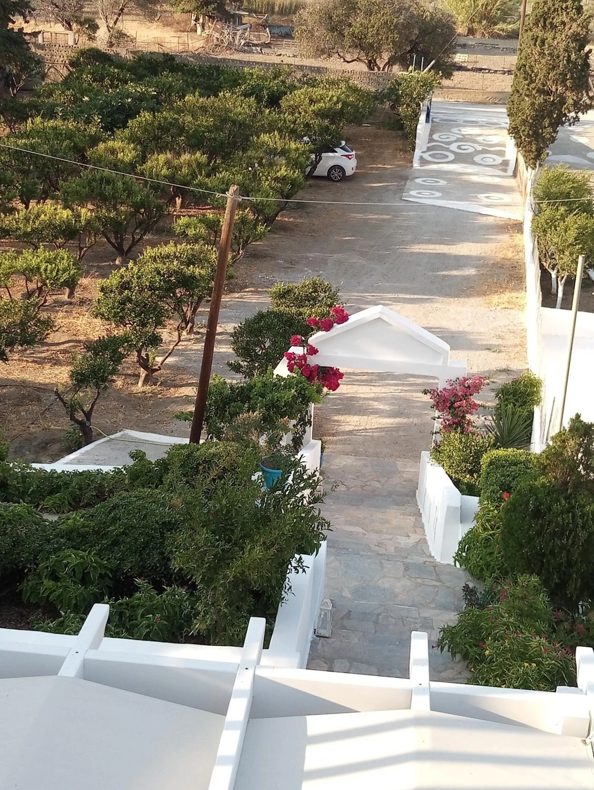 Garden view in Drouga's Studios & Suites Astypalaia Greece